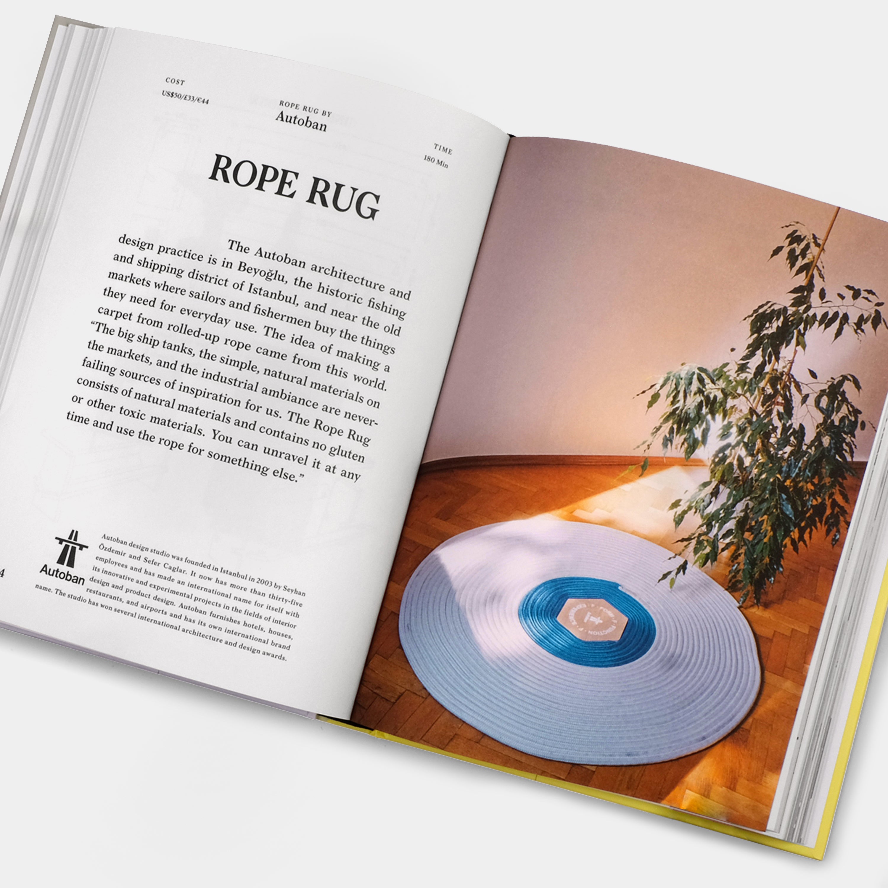 Do It Yourself: 50 Projects by Designers and Artists Phaidon Book