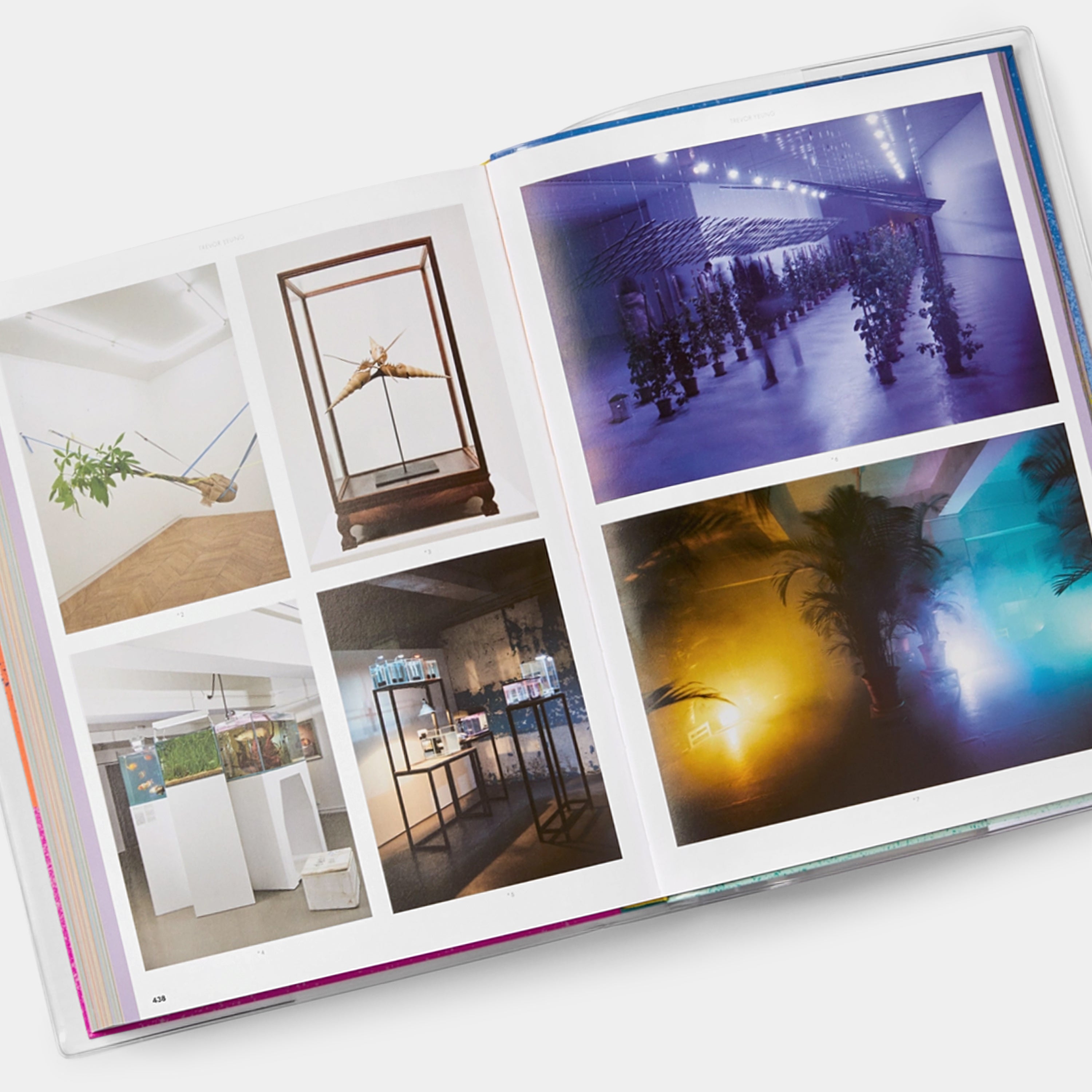 Prime: Art's Next Generation Phaidon Book