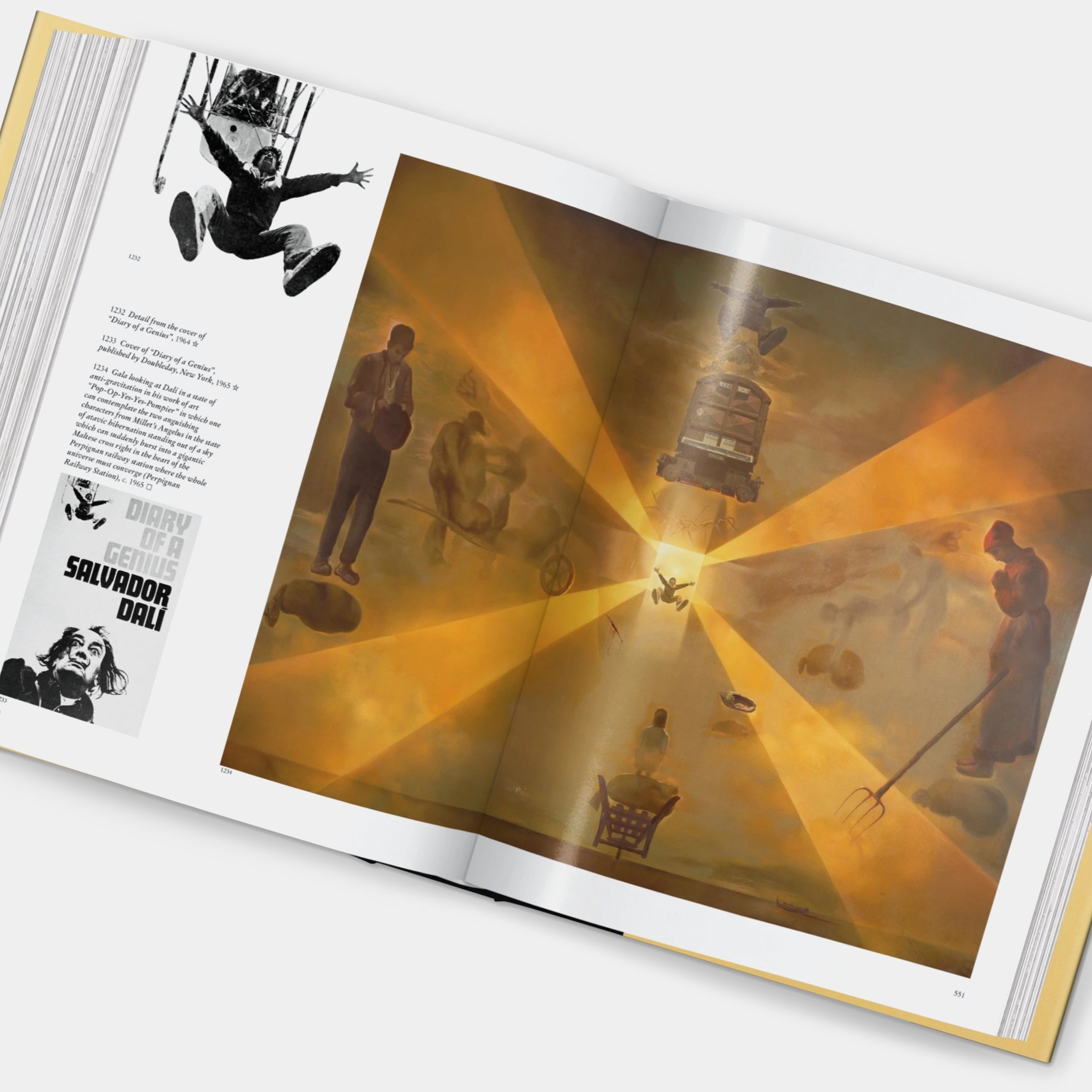 Dalí. The Paintings Taschen Book