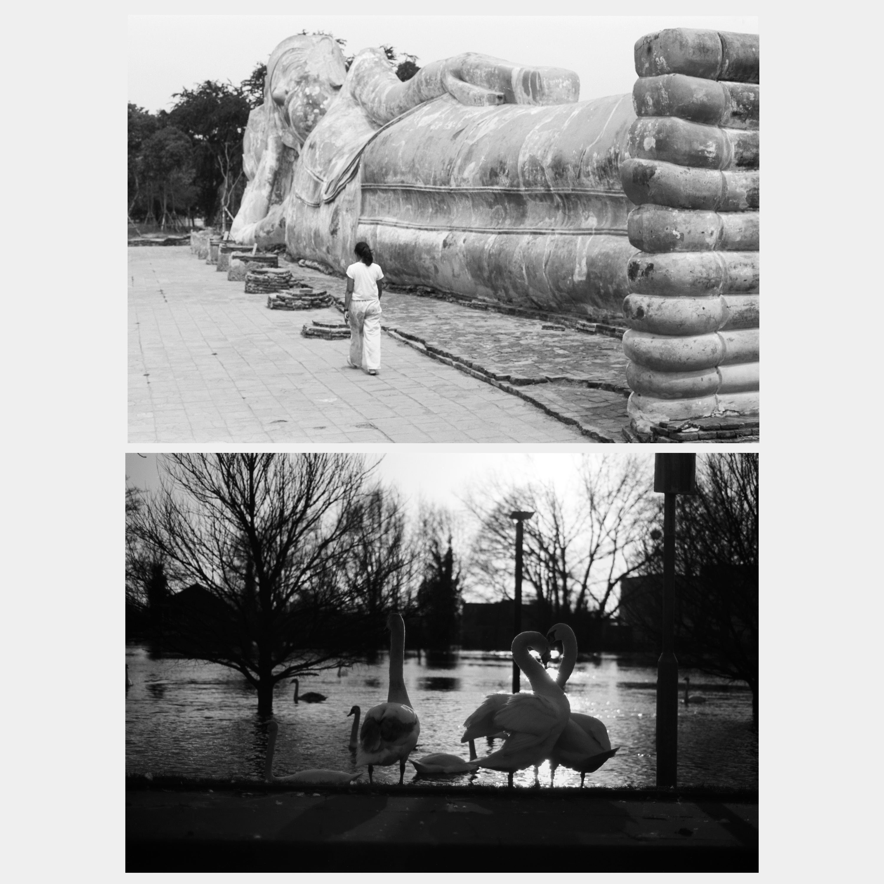 Lomography Babylon 13 Kino B&W 35mm Film (36 Exposures)