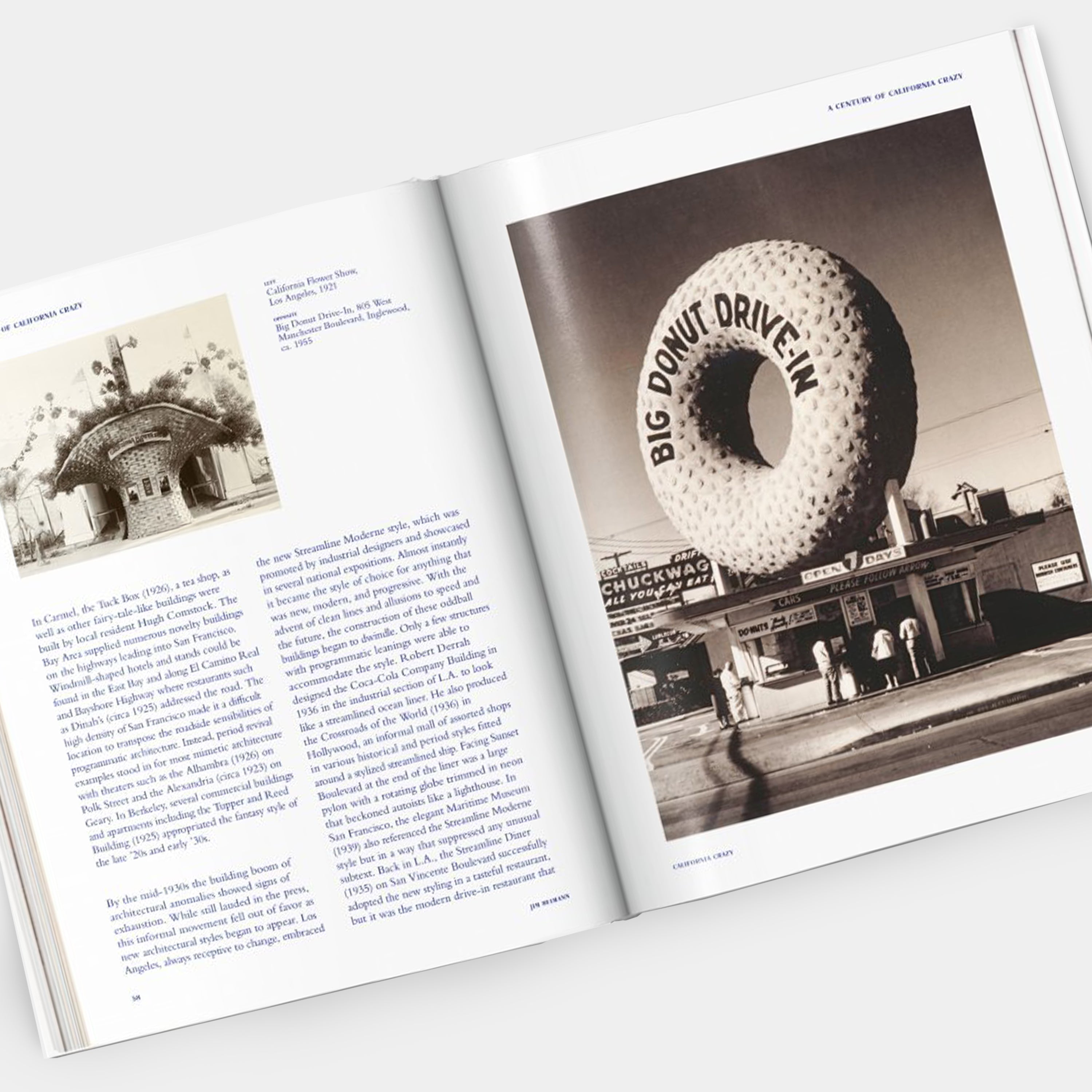 California Crazy. American Pop Architecture Taschen Book