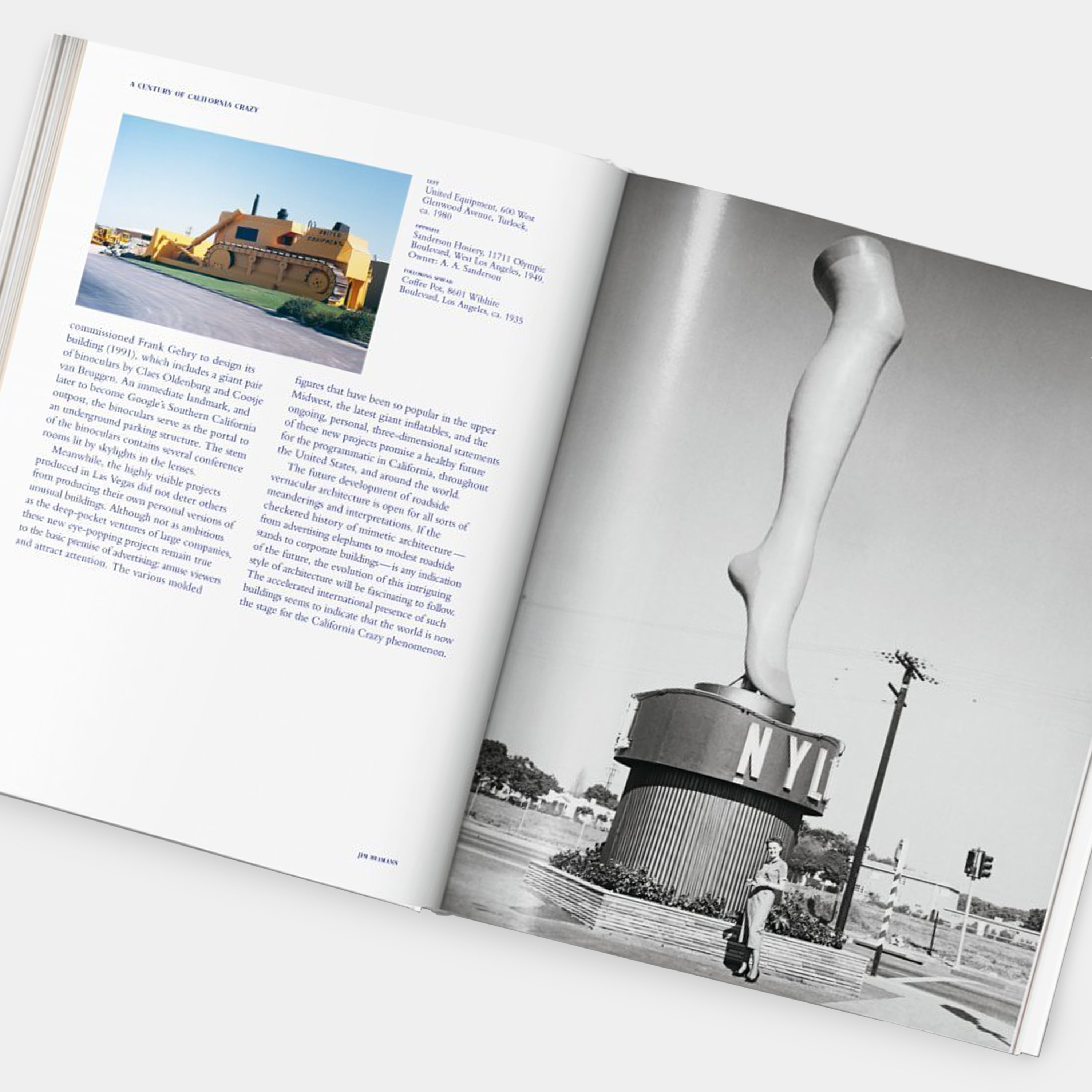 California Crazy. American Pop Architecture Taschen Book