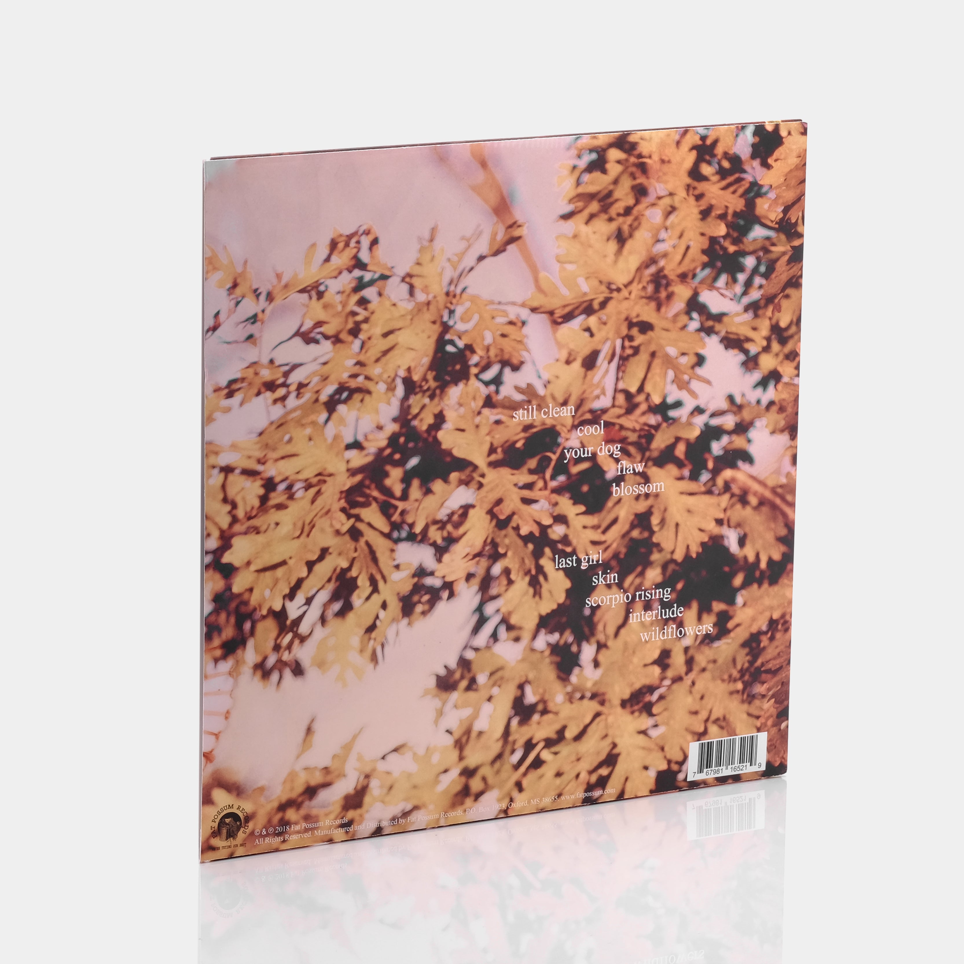 Soccer Mommy - Clean LP Vinyl Record