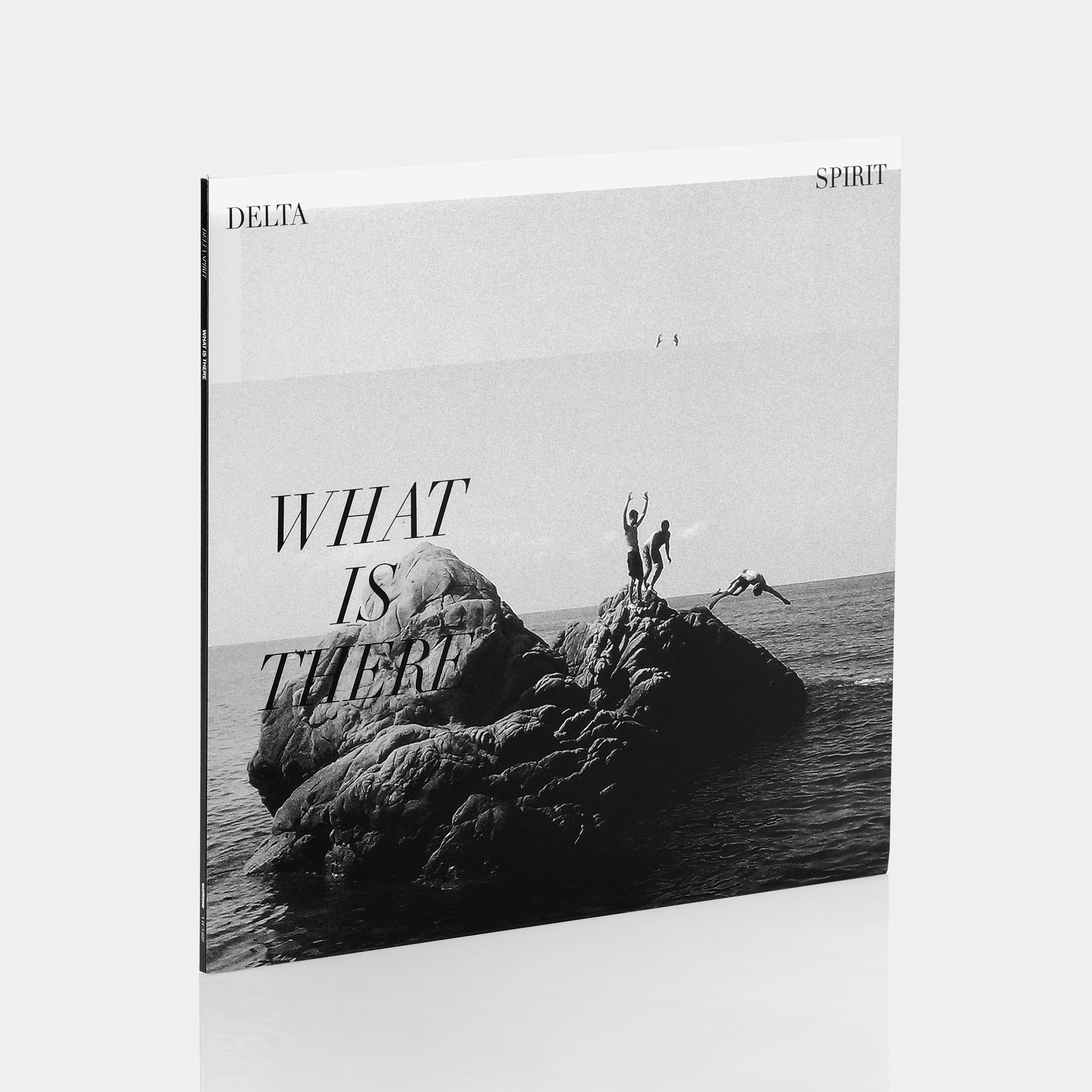 Delta Spirit - What Is There LP Vinyl Record