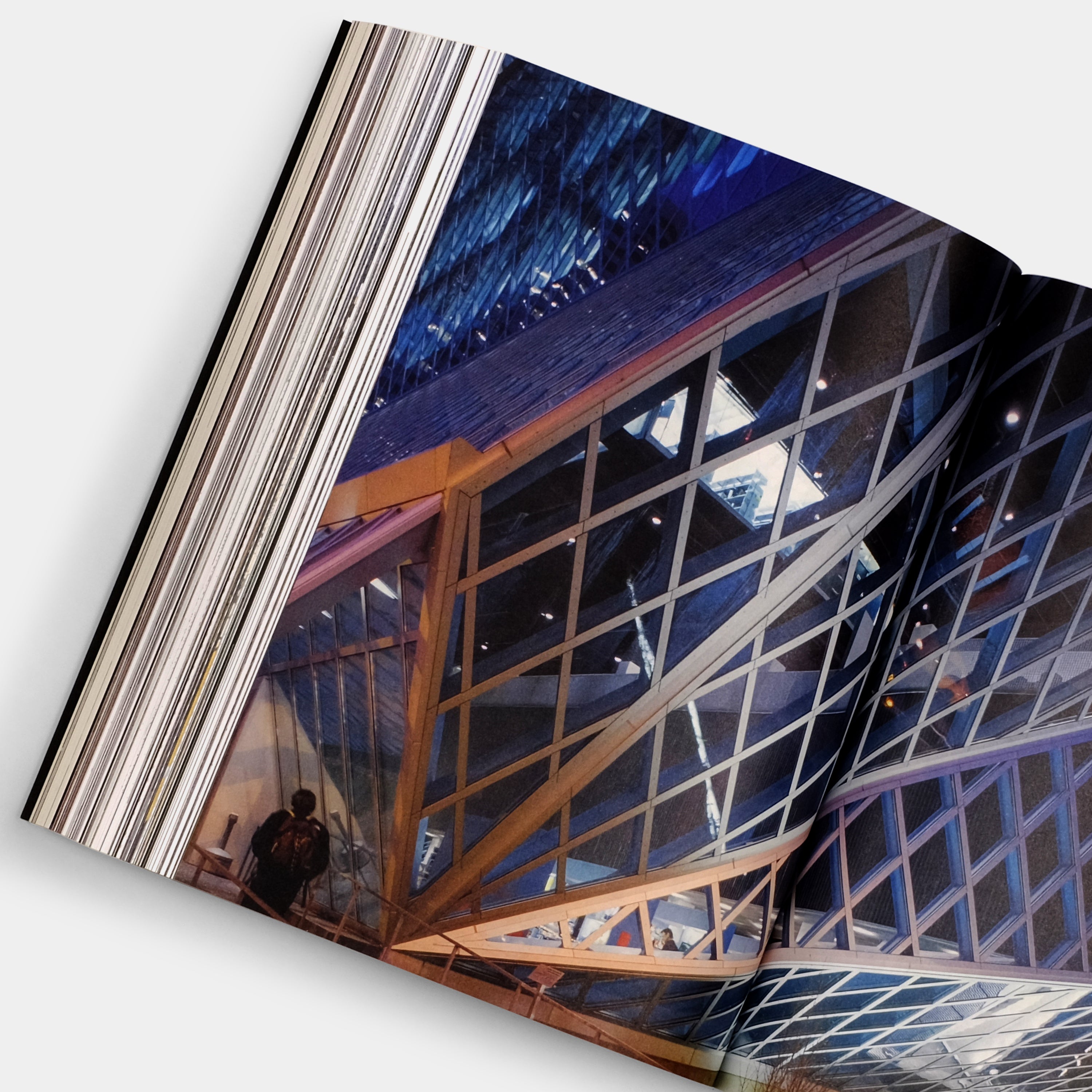 Dig it! Building Bound to the Ground by Bjarne Mastenbroek Taschen Book