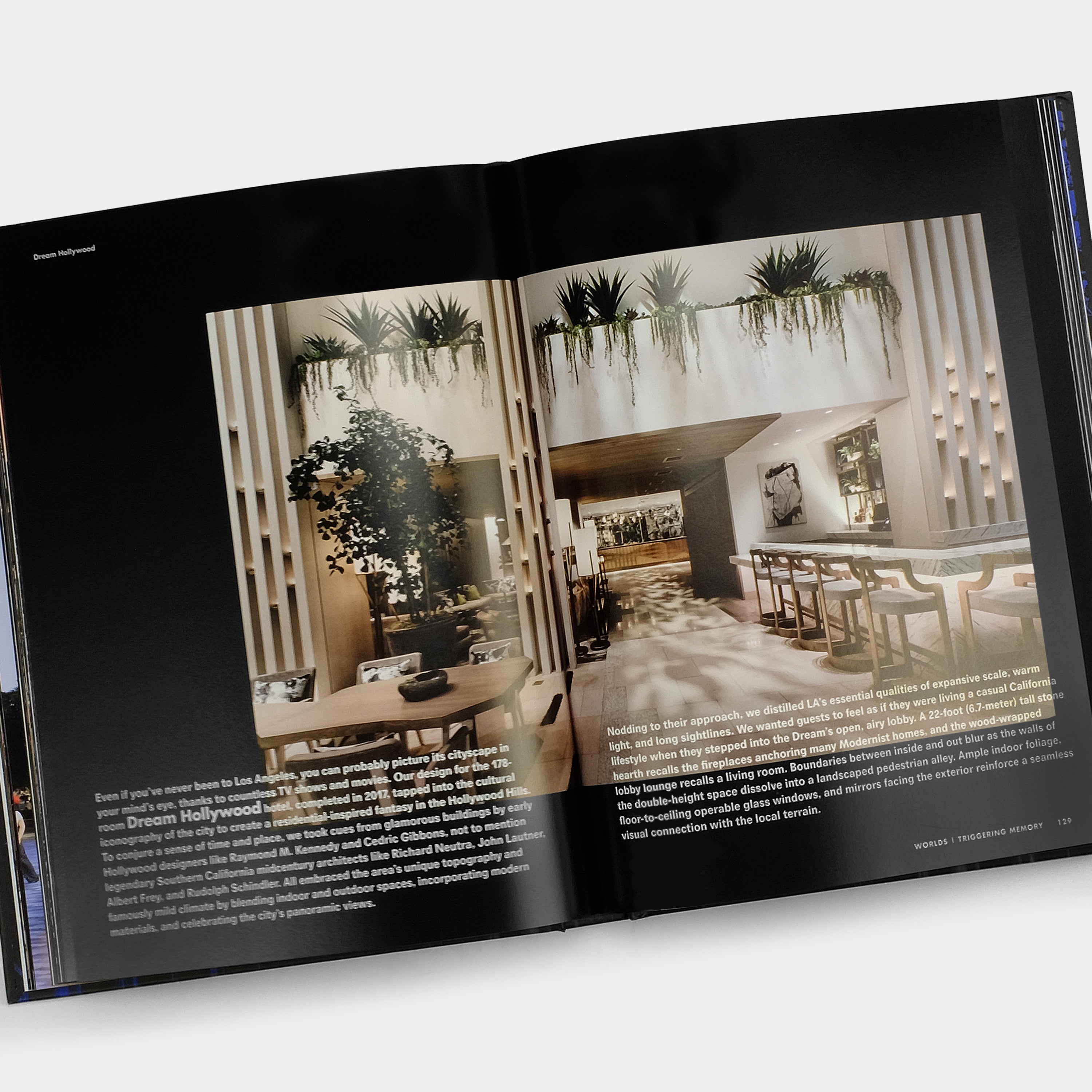 Drama by David Rockwell Phaidon Book