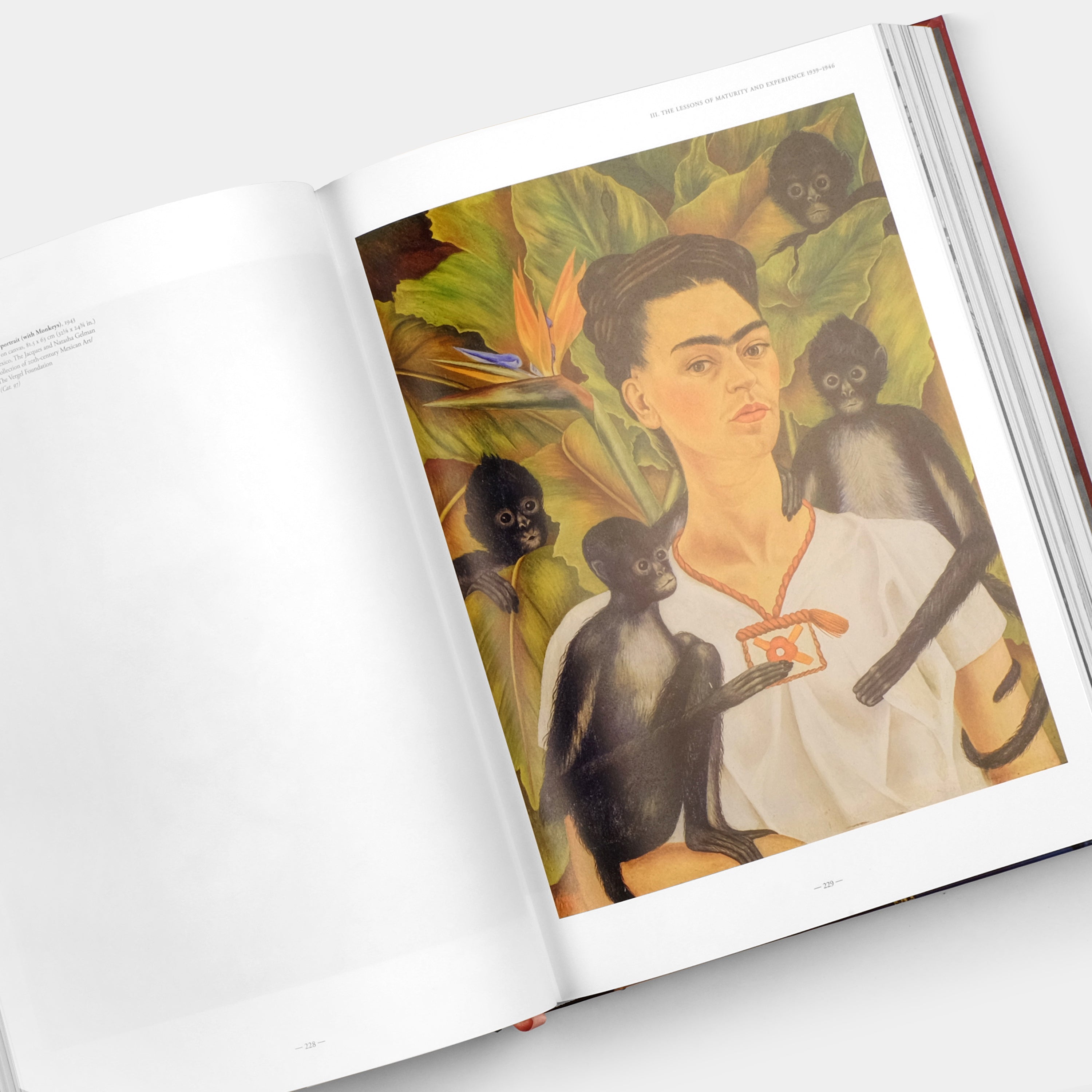Frida Kahlo: The Complete Paintings XXL Taschen Book