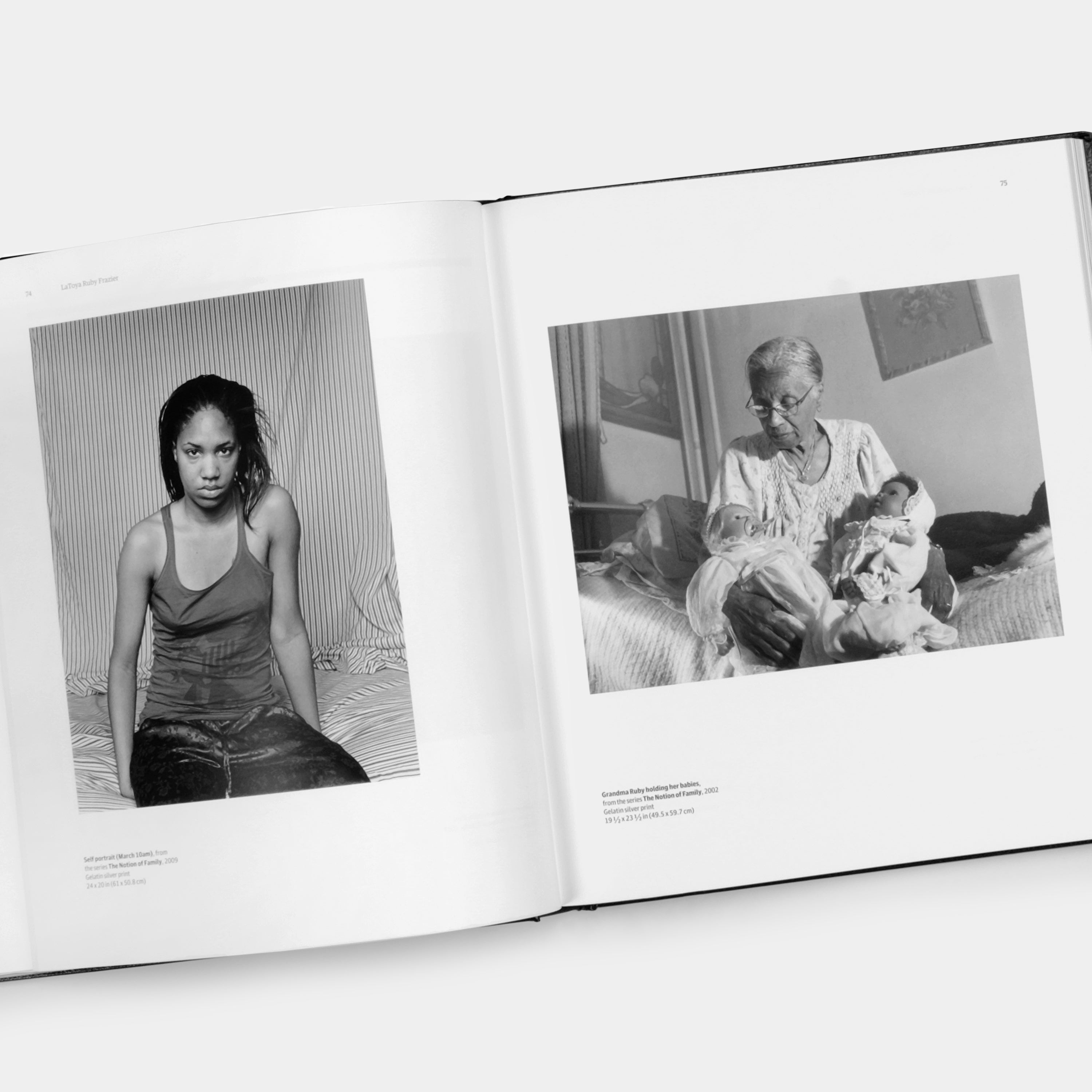 Grief and Grievance: Art and Mourning in America Phaidon Book