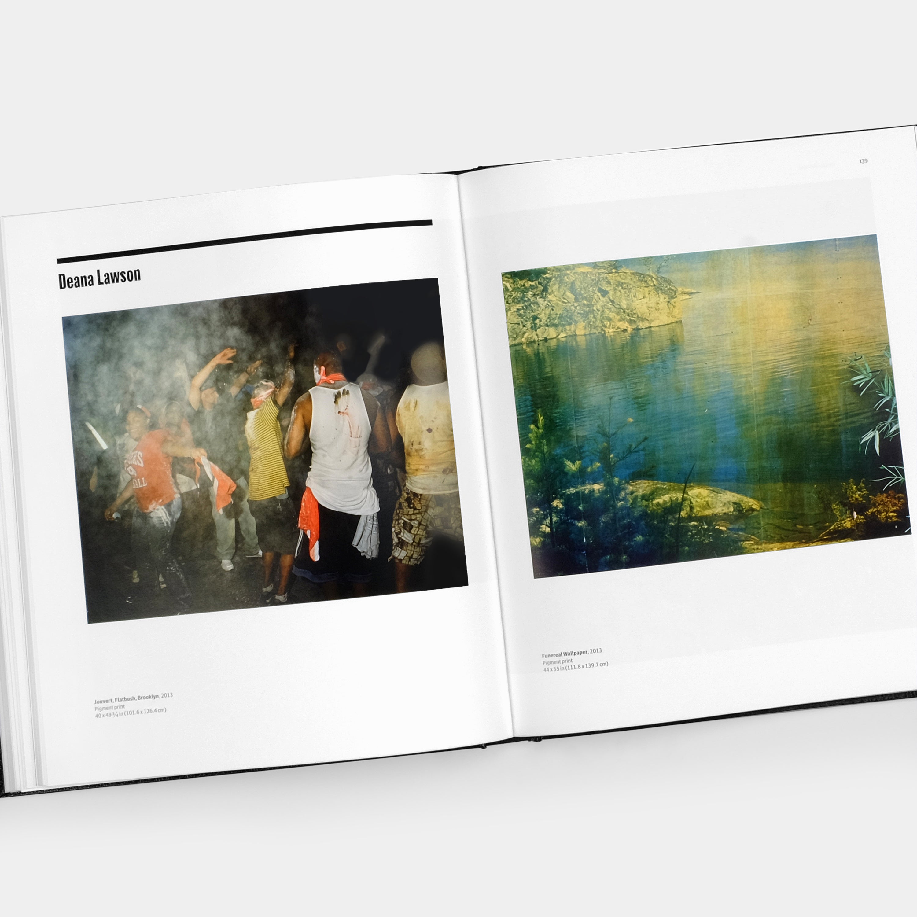 Grief and Grievance: Art and Mourning in America Phaidon Book