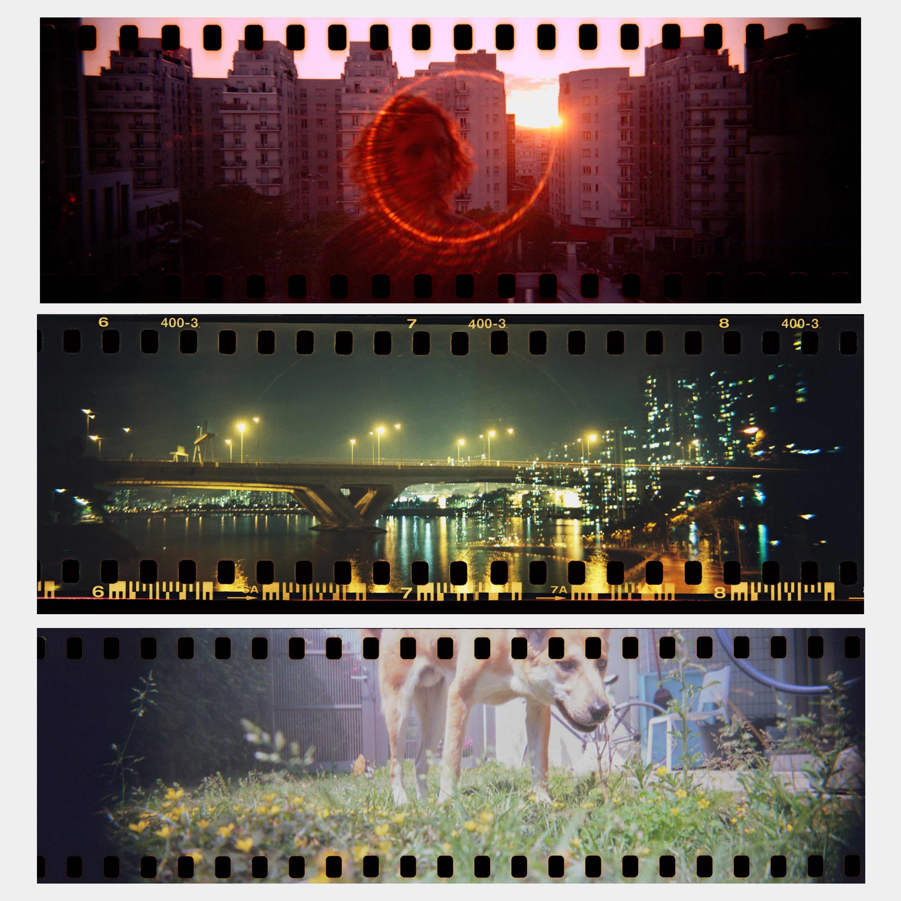 Lomography HydroChrome Sutton's Panoramic Belair 35mm Film Camera