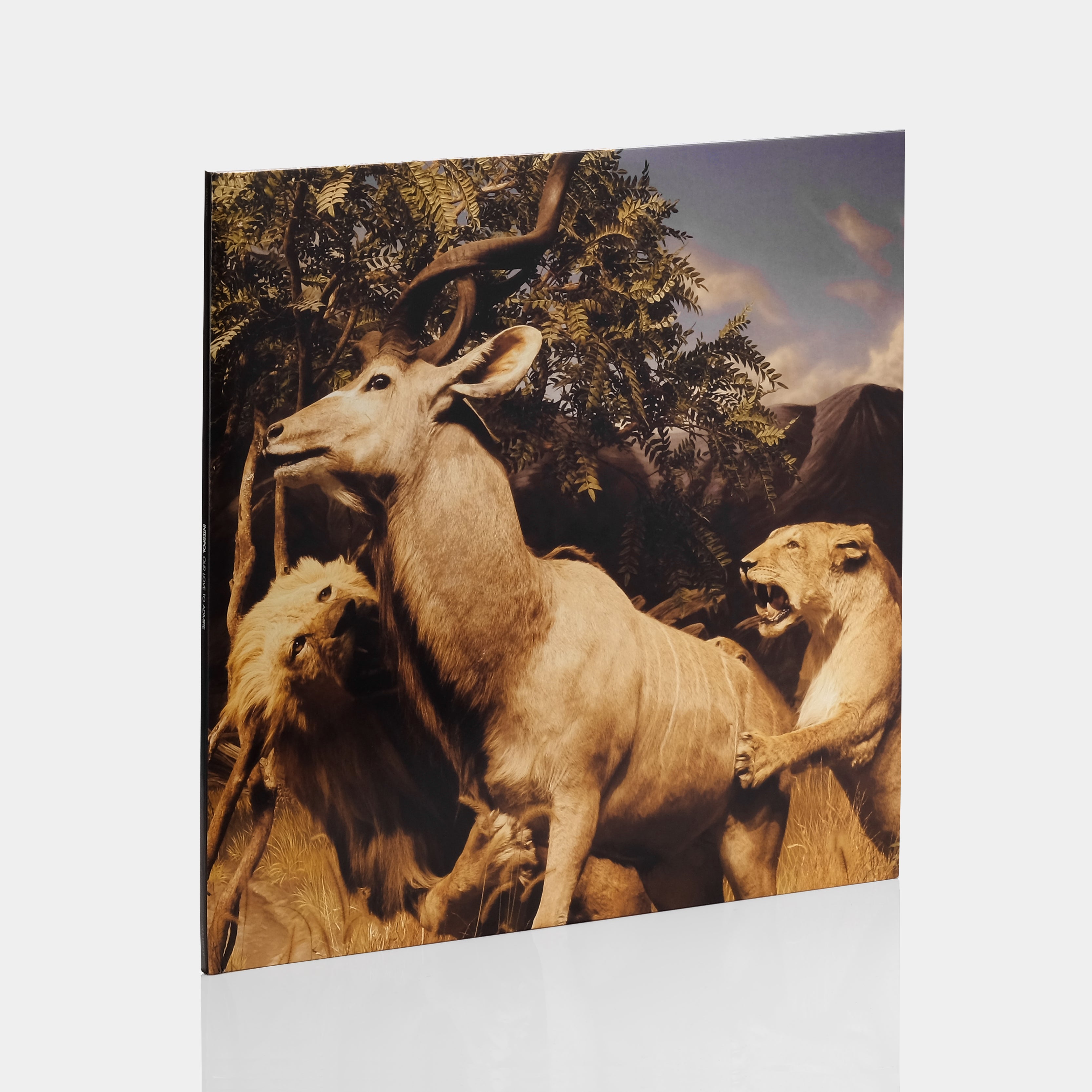 Interpol - Our Love To Admire 2xLP Vinyl Record