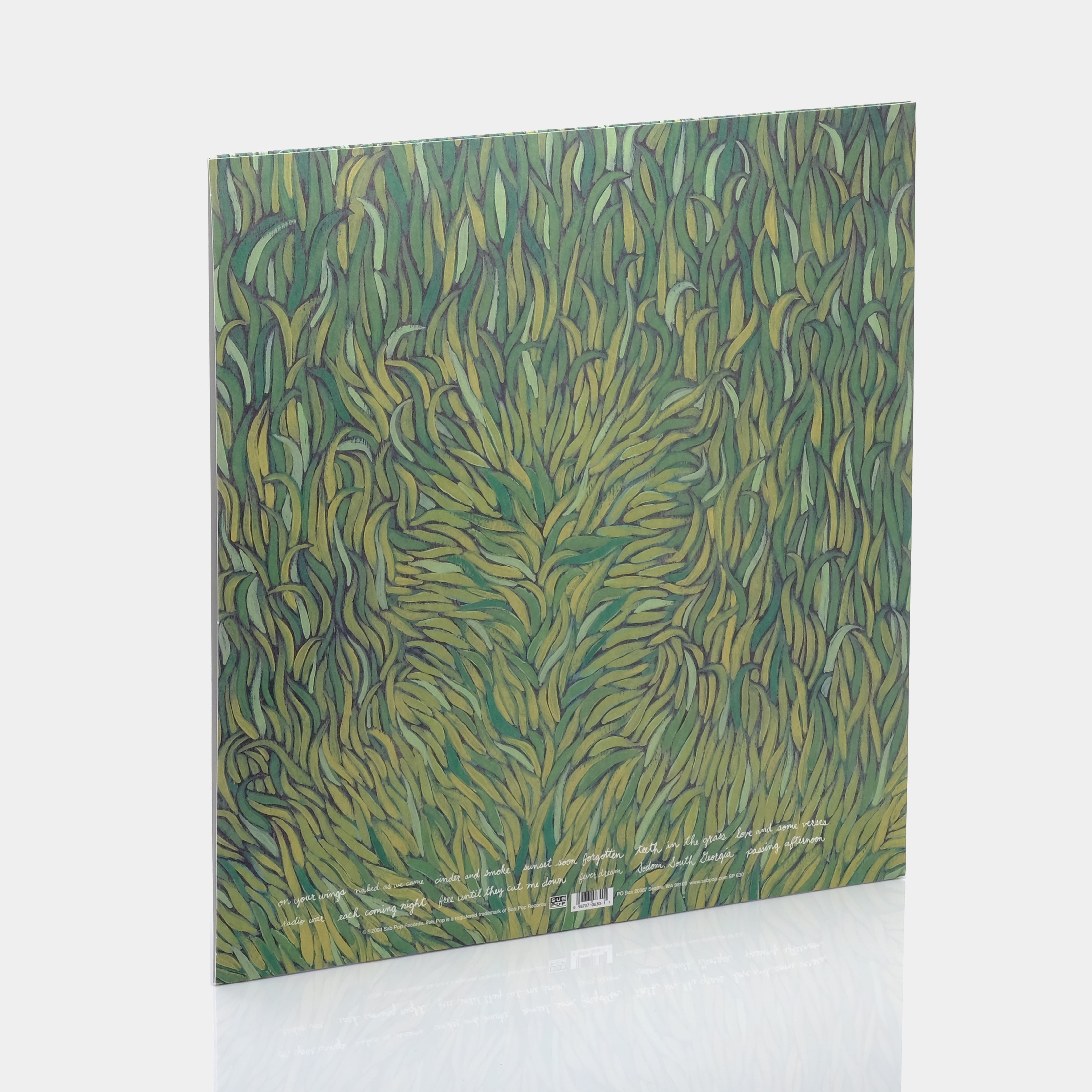 Iron & Wine - Our Endless Numbered Days LP Vinyl Record