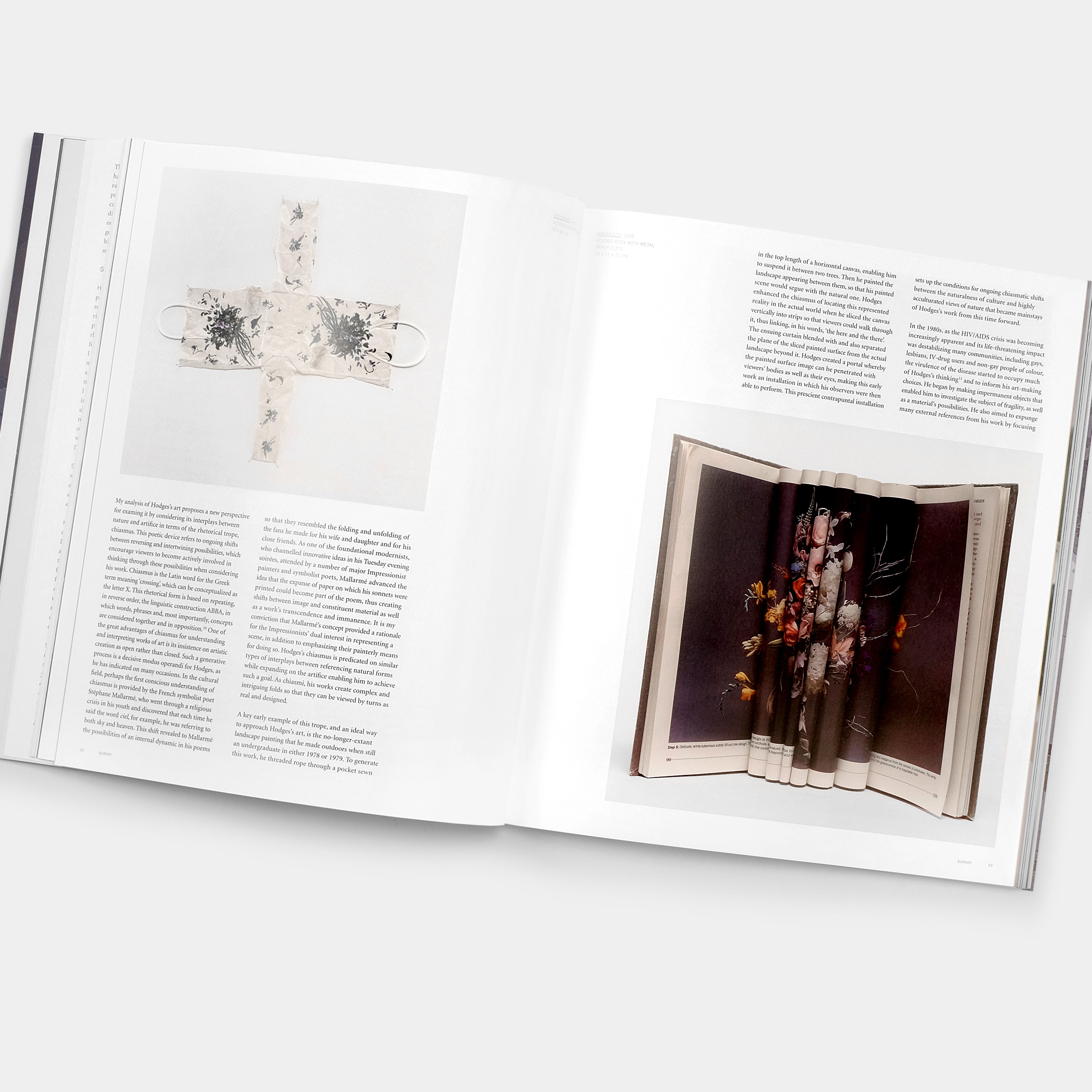 Jim Hodges Phaidon Book