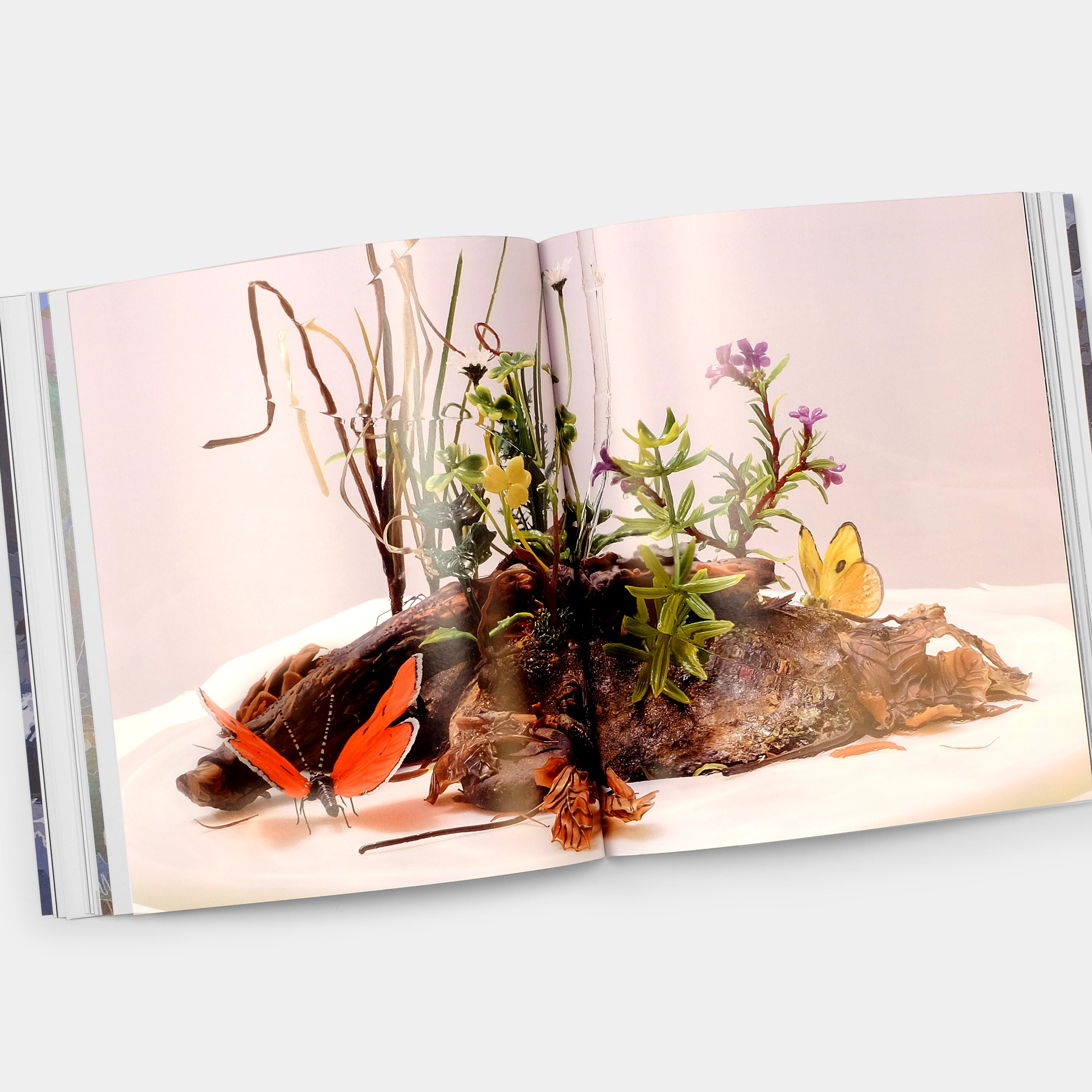 Jim Hodges Phaidon Book