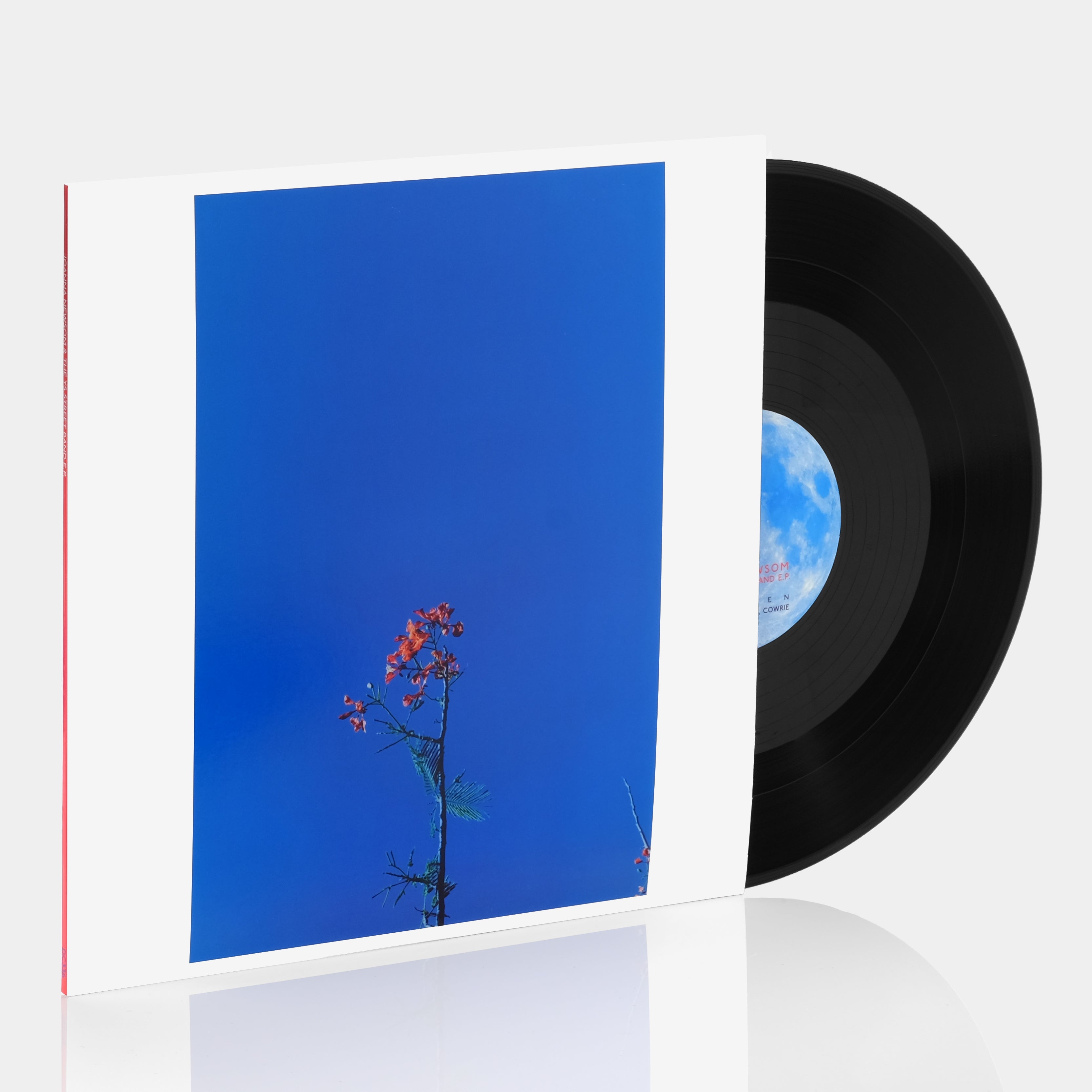 Joanna Newsom - Joanna Newsom & The Ys Street Band EP Vinyl Record