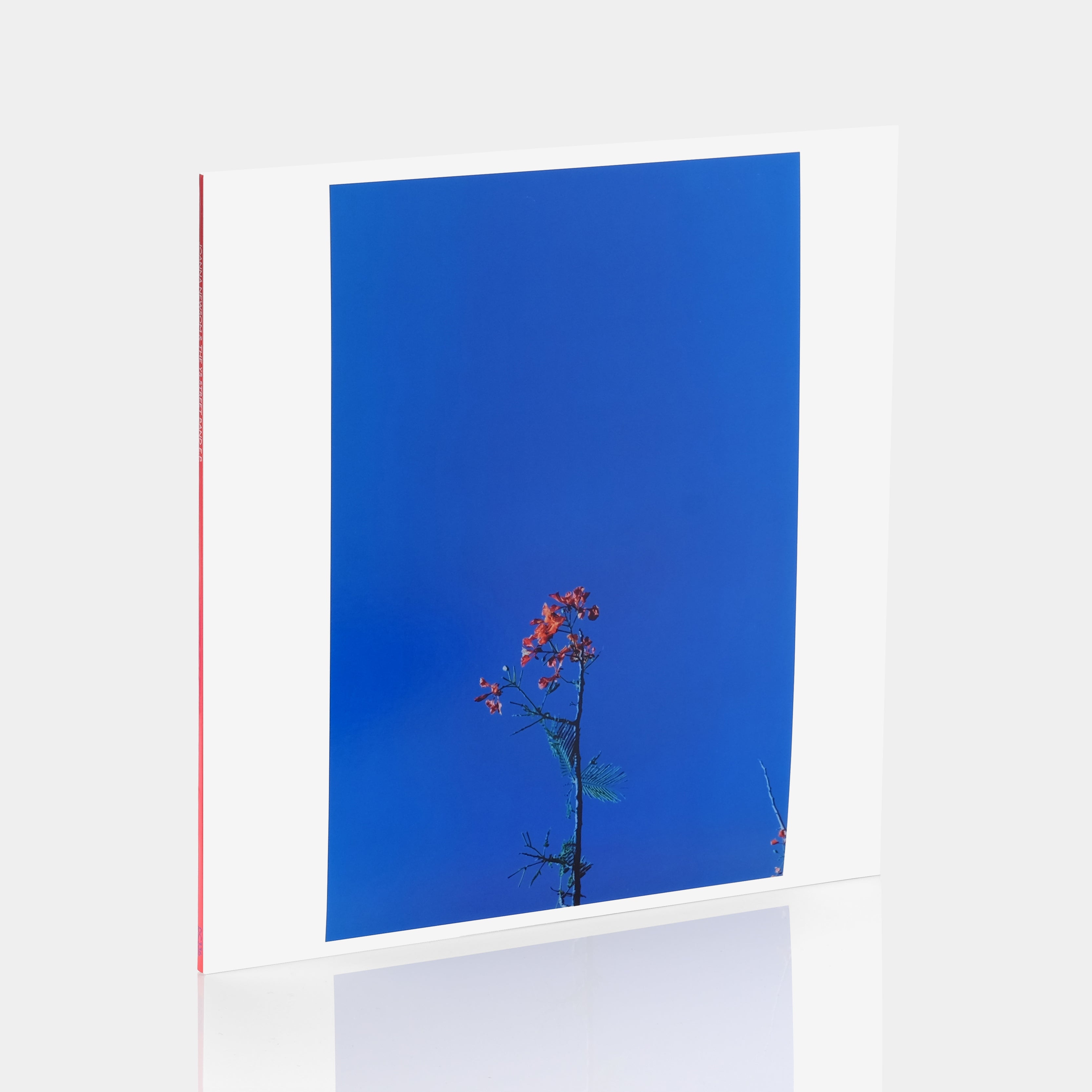 Joanna Newsom - Joanna Newsom & The Ys Street Band EP Vinyl Record