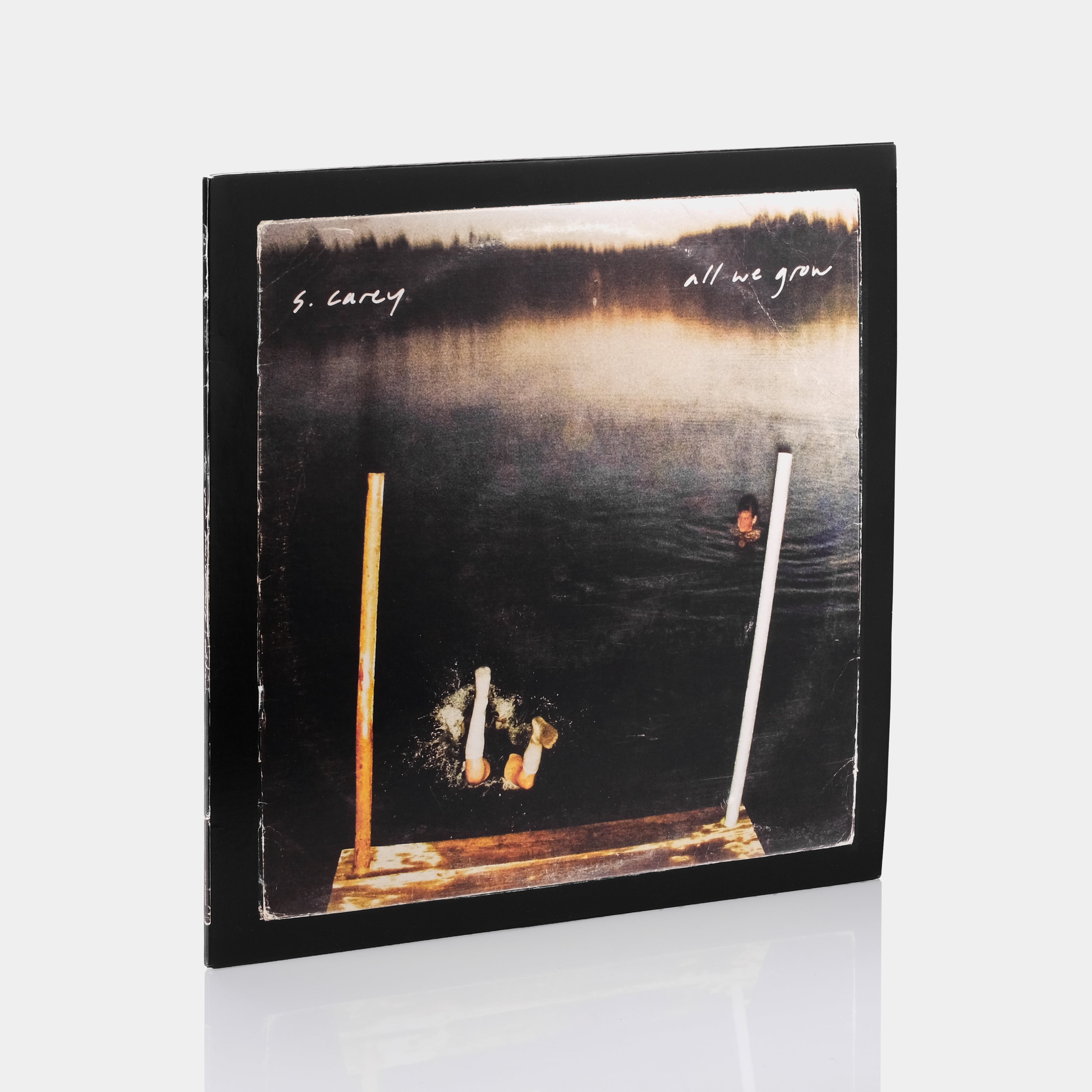 S. Carey - All We Grow LP Vinyl Record