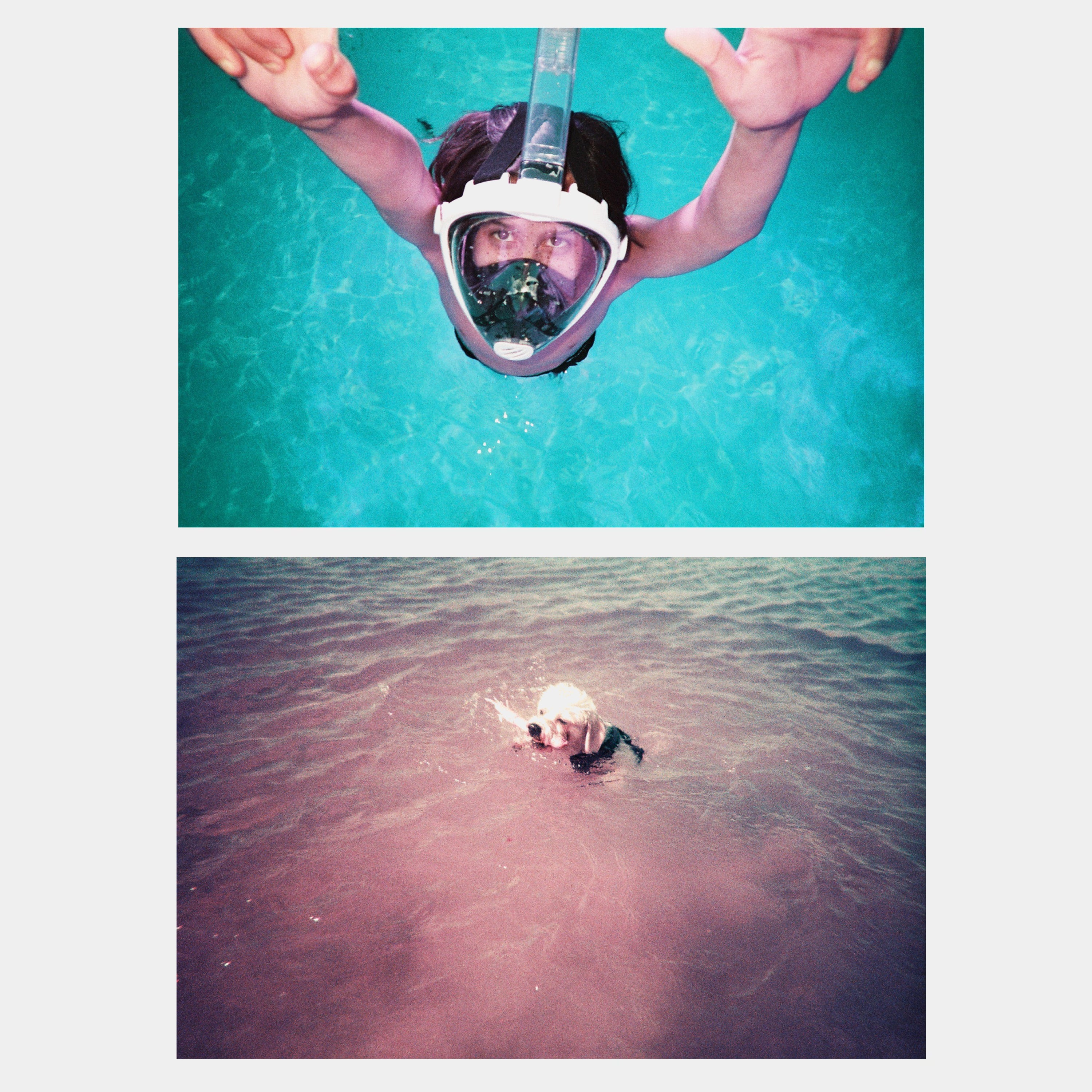 Lomochrome Purple Analogue Aqua Underwater Simple Use 35mm Point and Shoot Film Camera