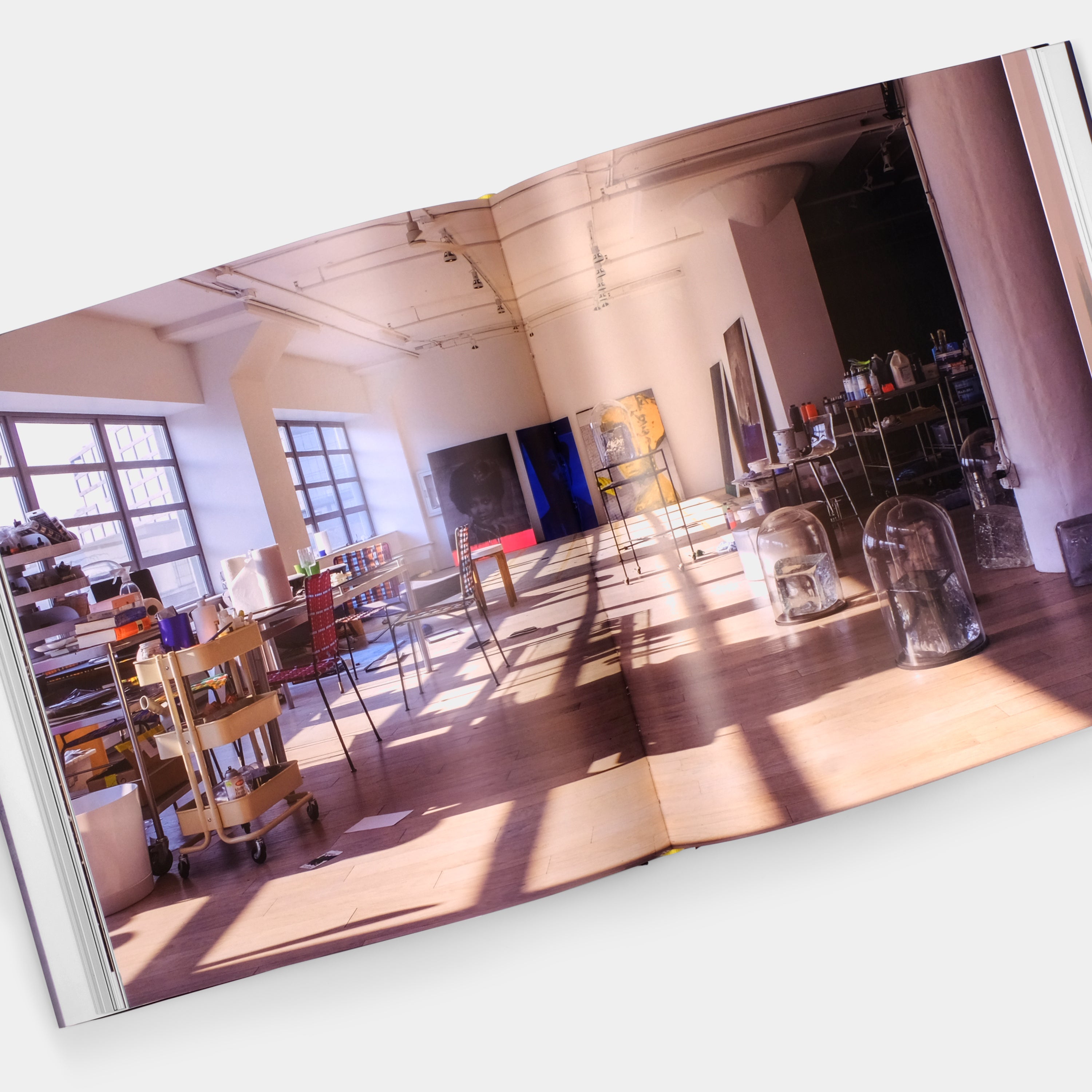 Lorna Simpson: Revised & Expanded Edition Phaidon Book