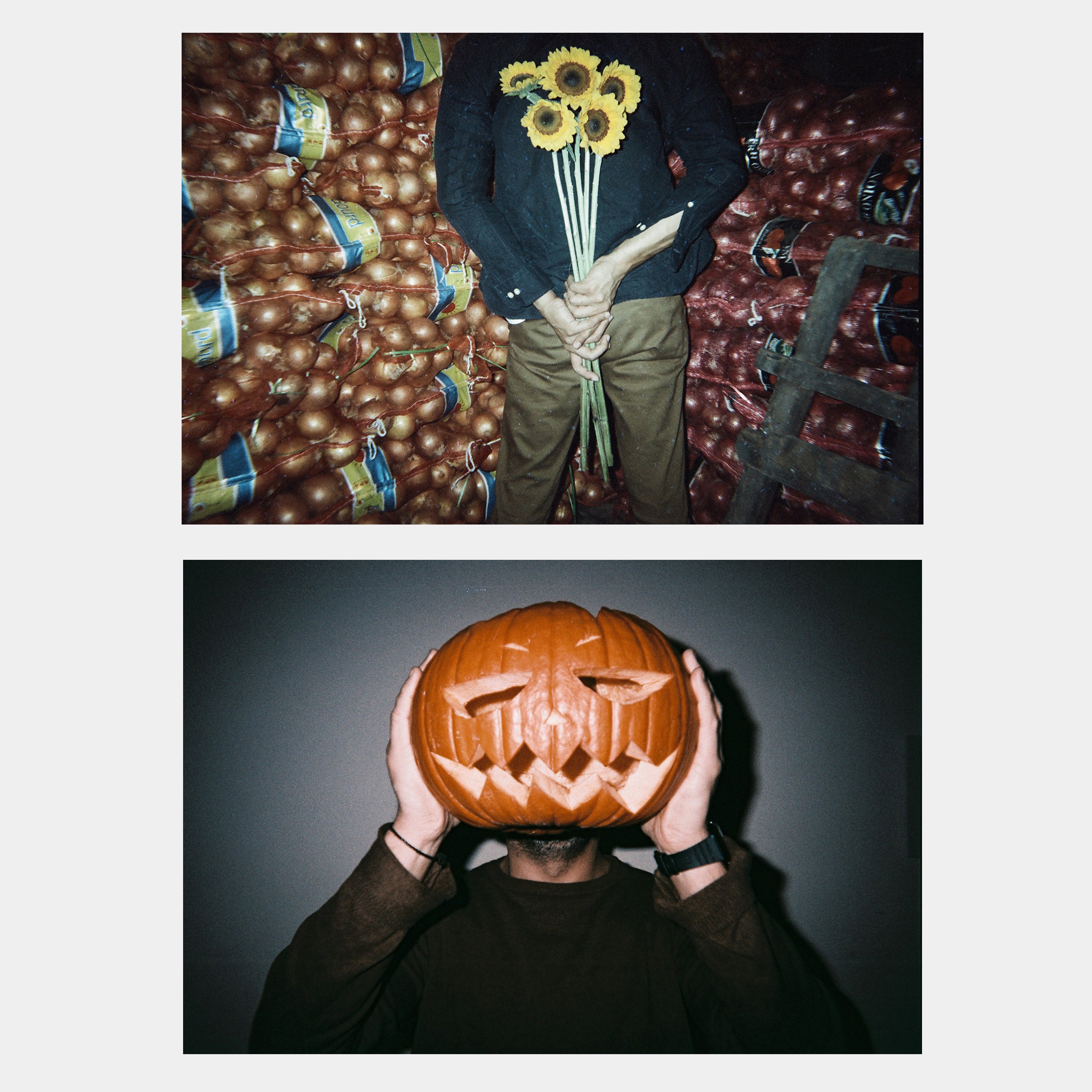 Lomochrome Metropolis Simple Use 35mm Point and Shoot Film Camera