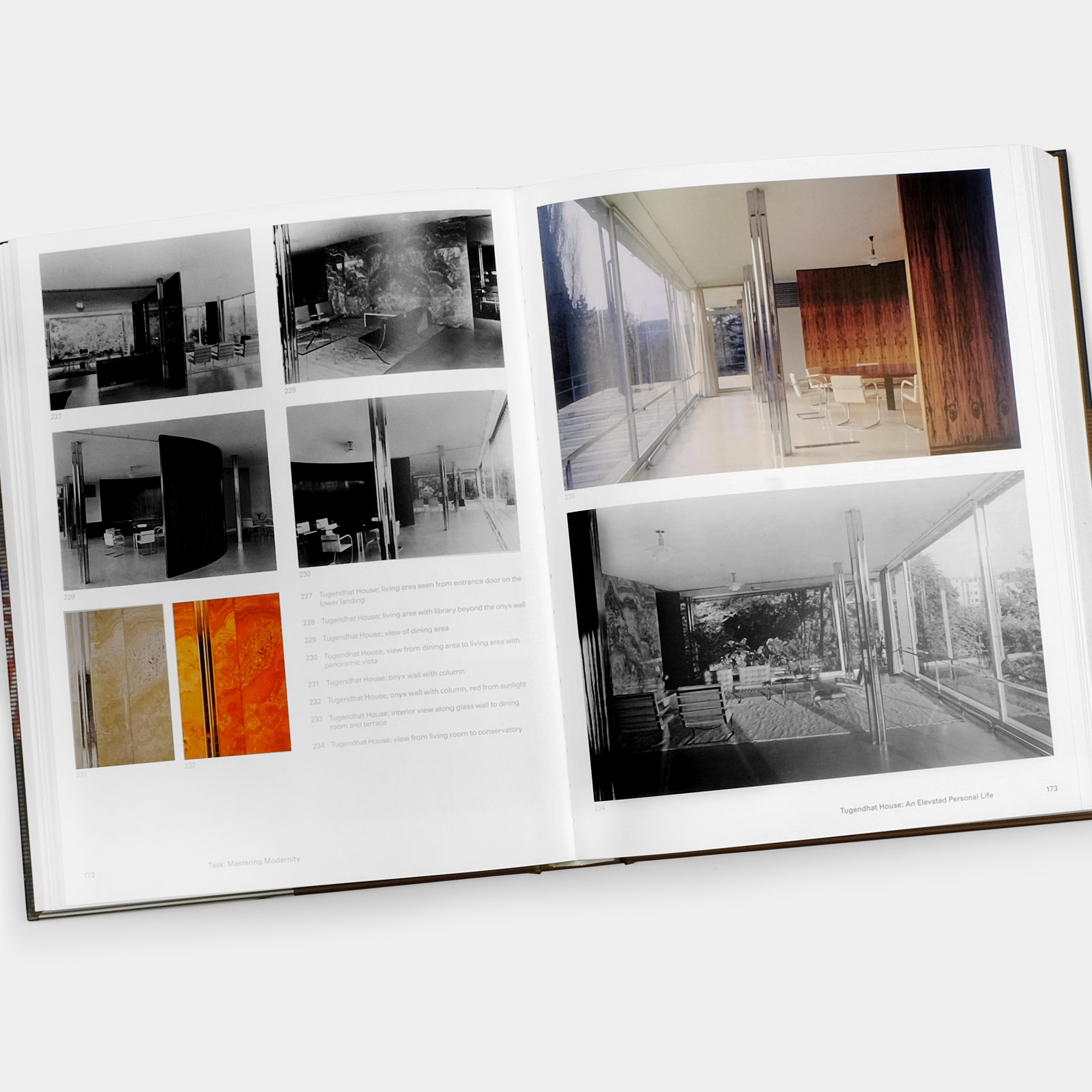 Mies by Detlef Mertins Phaidon Book