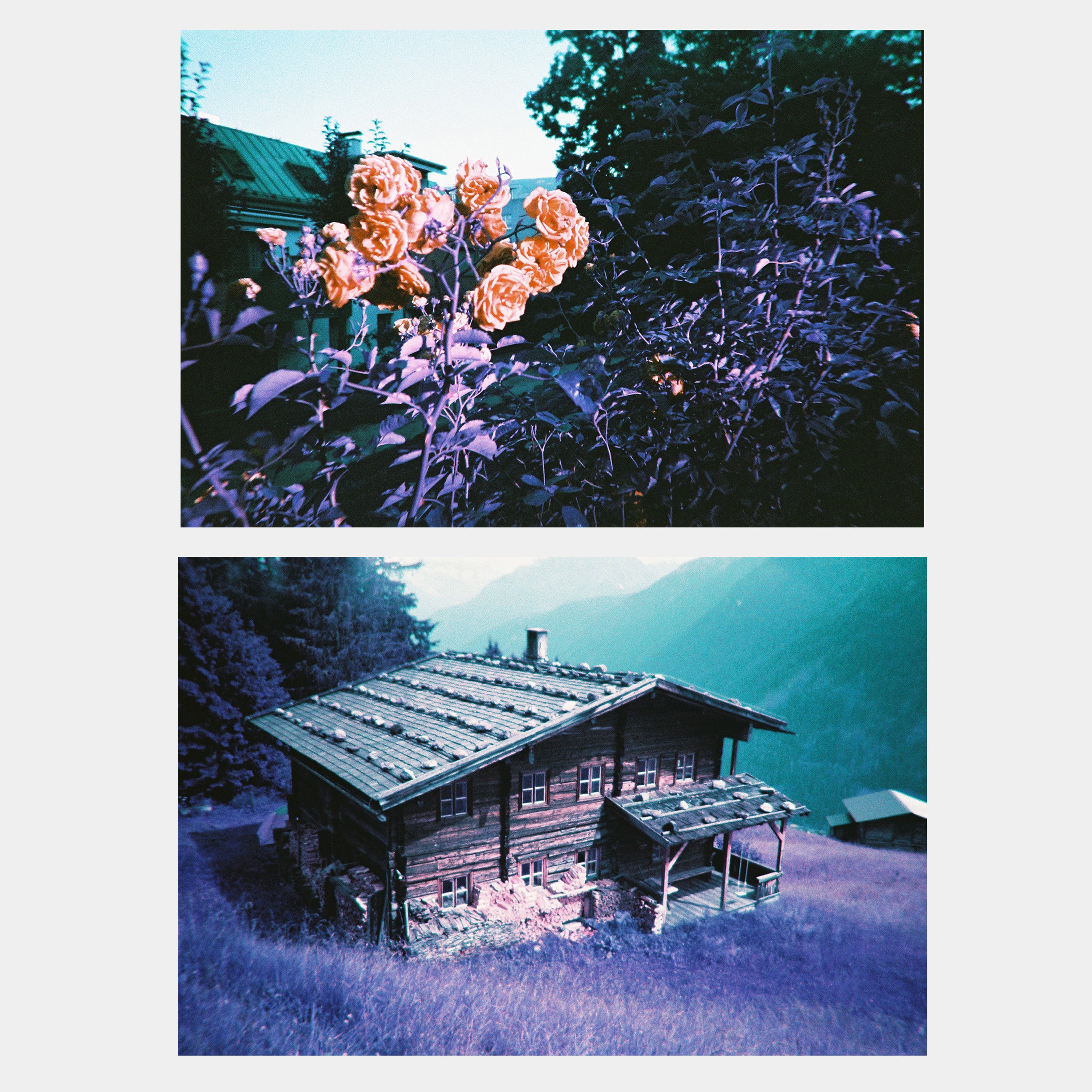 Lomochrome Purple Simple Use 35mm Point and Shoot Film Camera