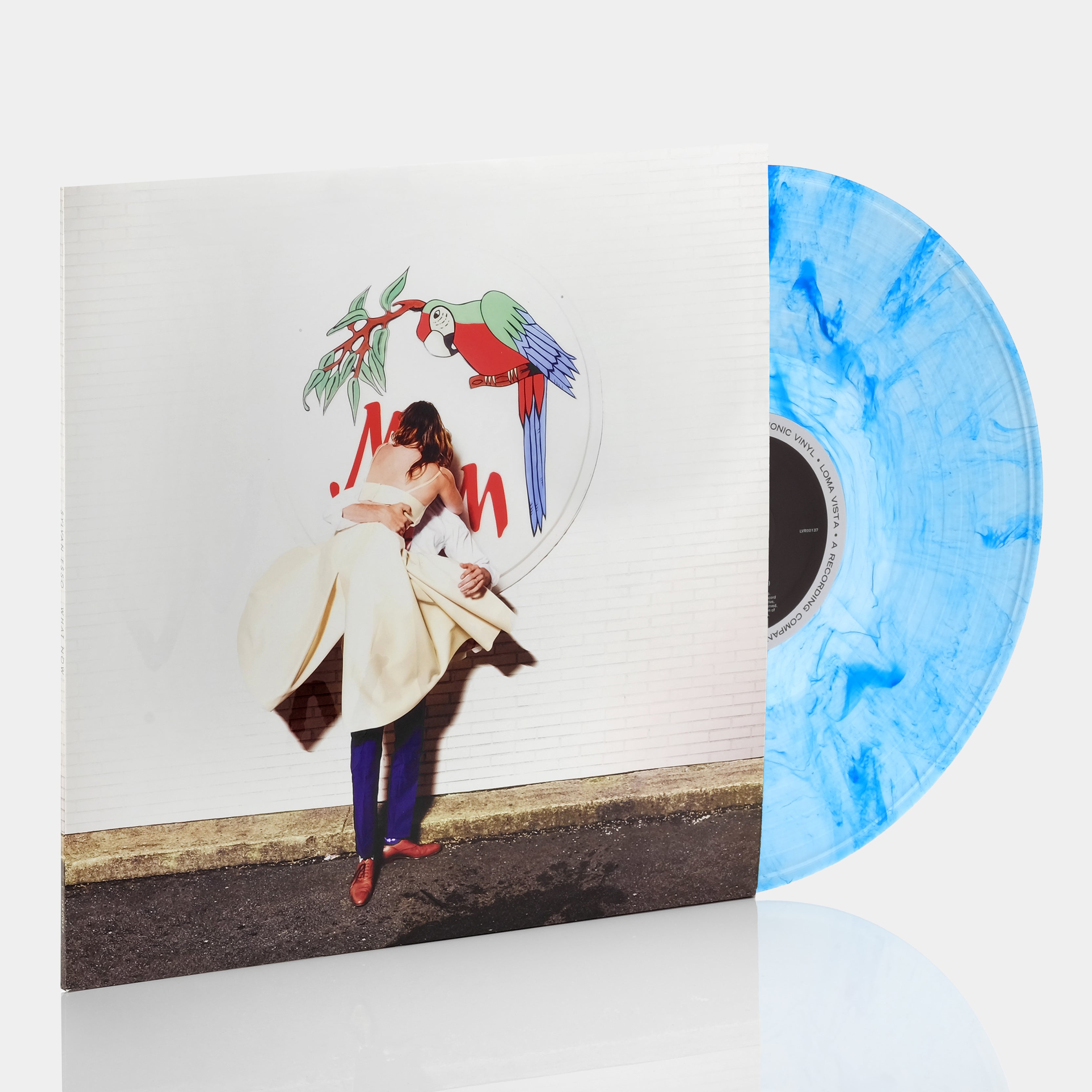 Sylvan Esso - What Now LP Blue Smoke Vinyl Record