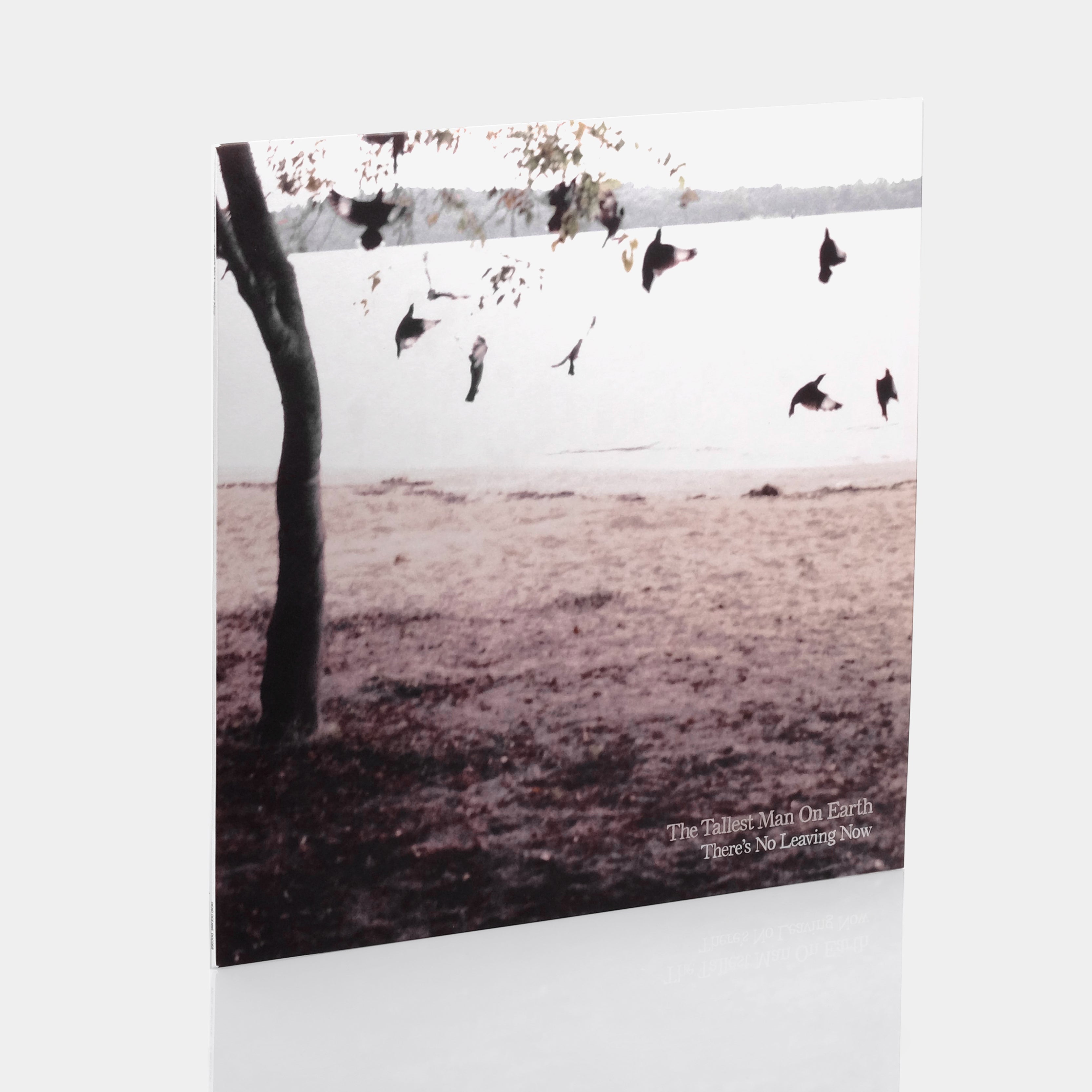The Tallest Man On Earth - There's No Leaving Now LP Vinyl Record