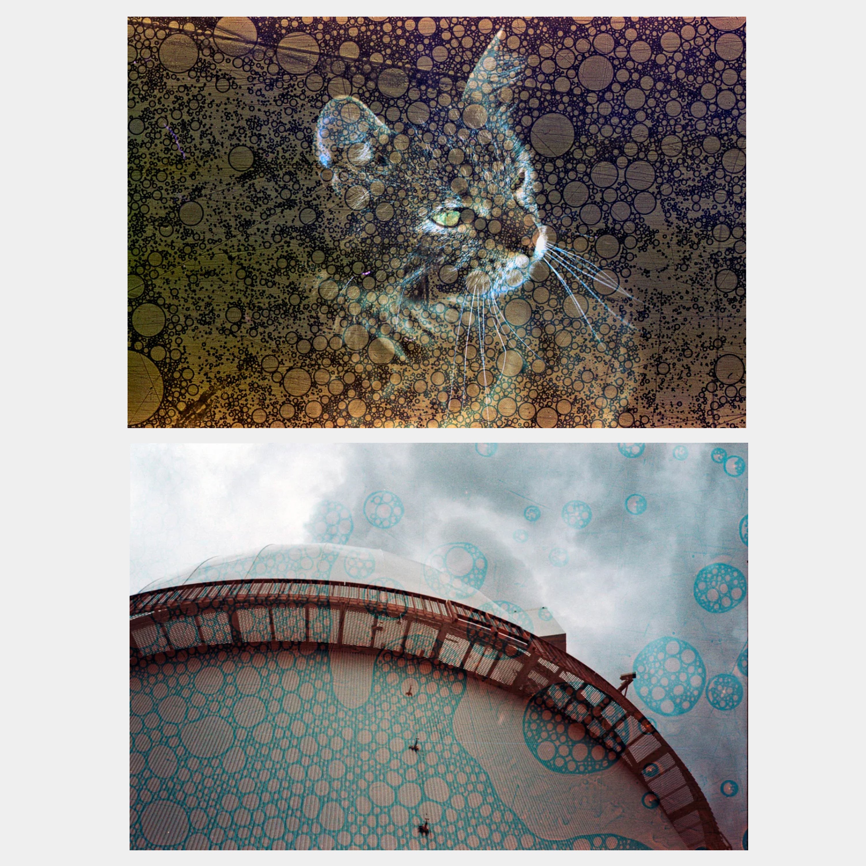 Revolog Texture 200 35mm Film (36 Exposures)