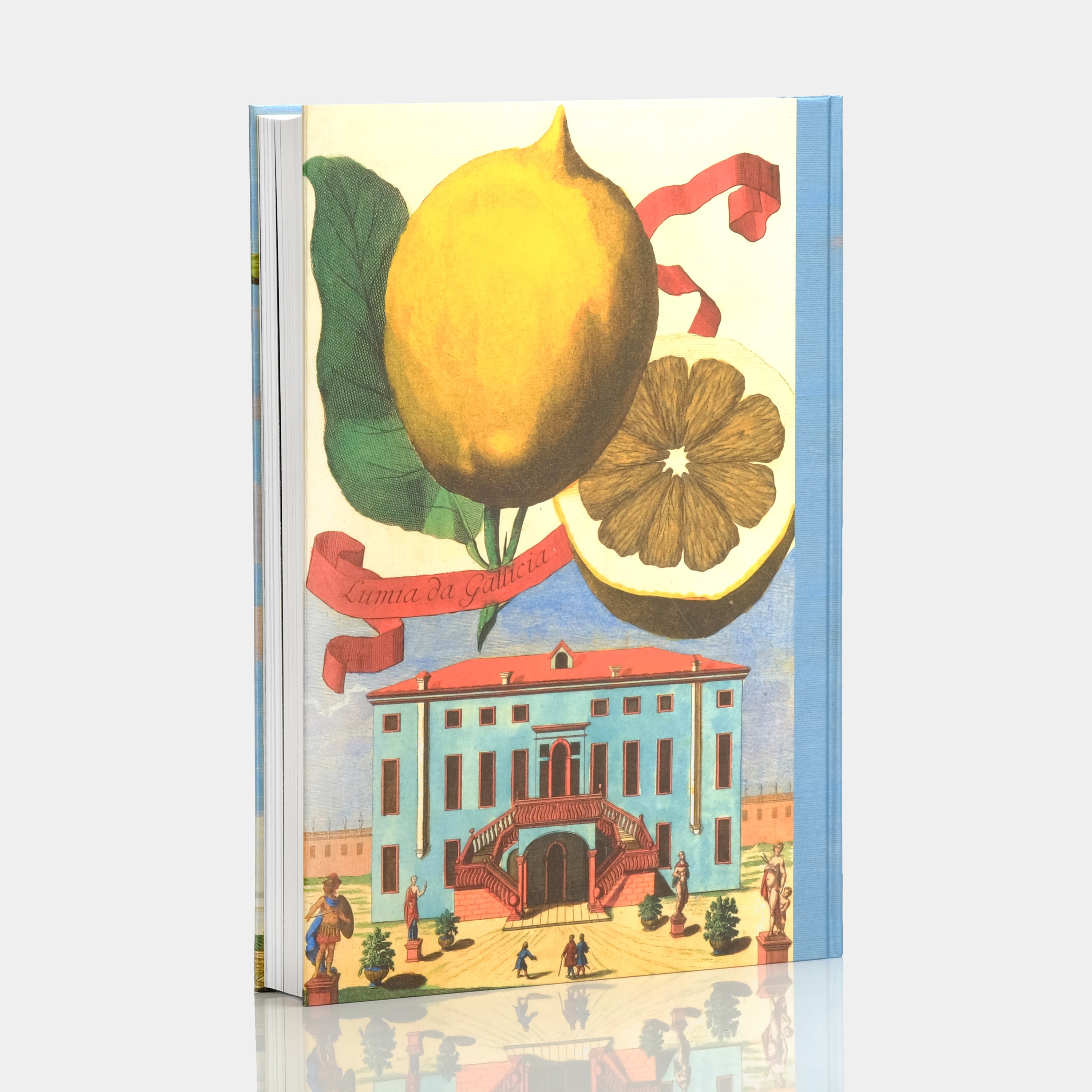 J. C. Volkamer: The Book of Citrus Fruits by Iris Lauterbach XXL Taschen Book