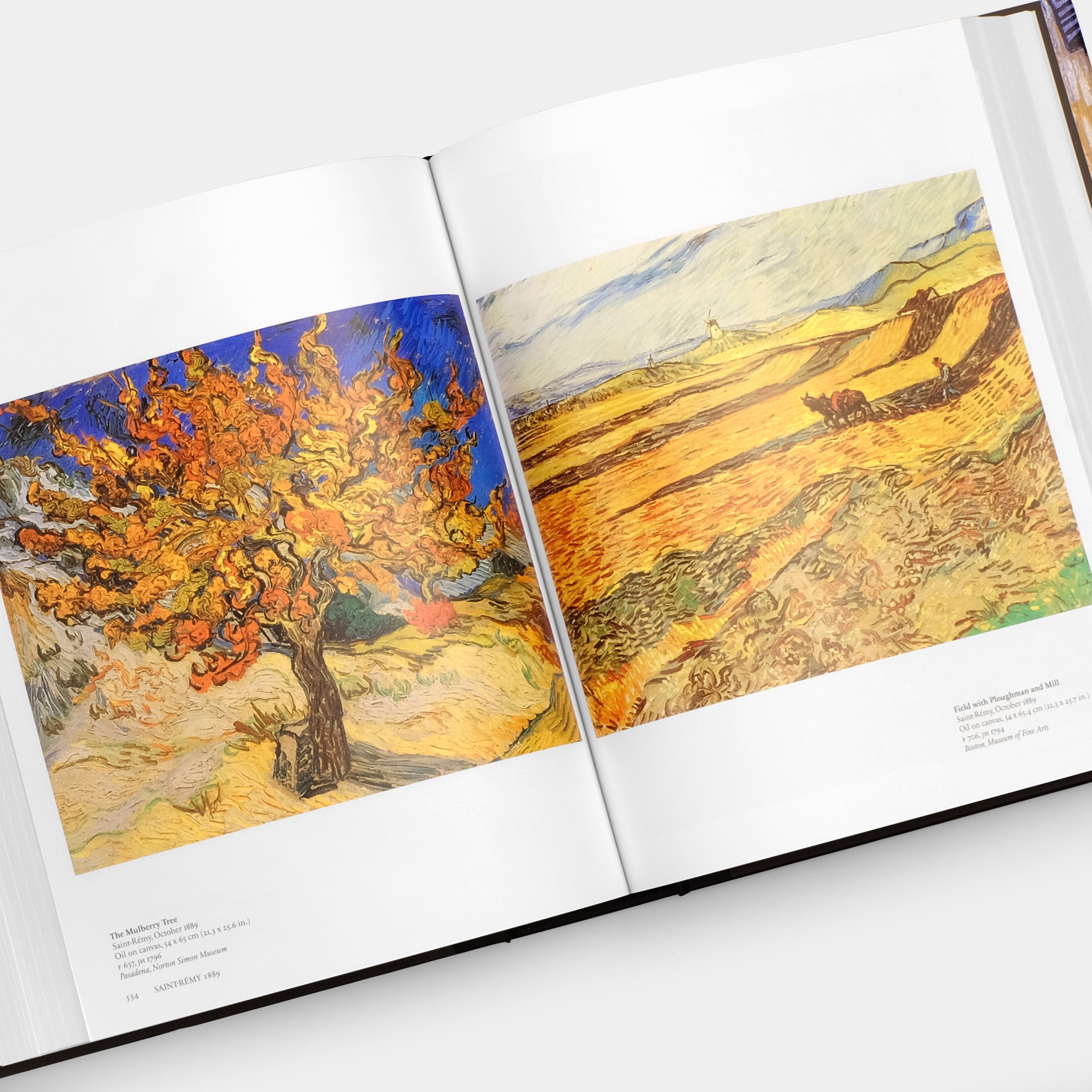 Van Gogh: The Complete Paintings Taschen Book