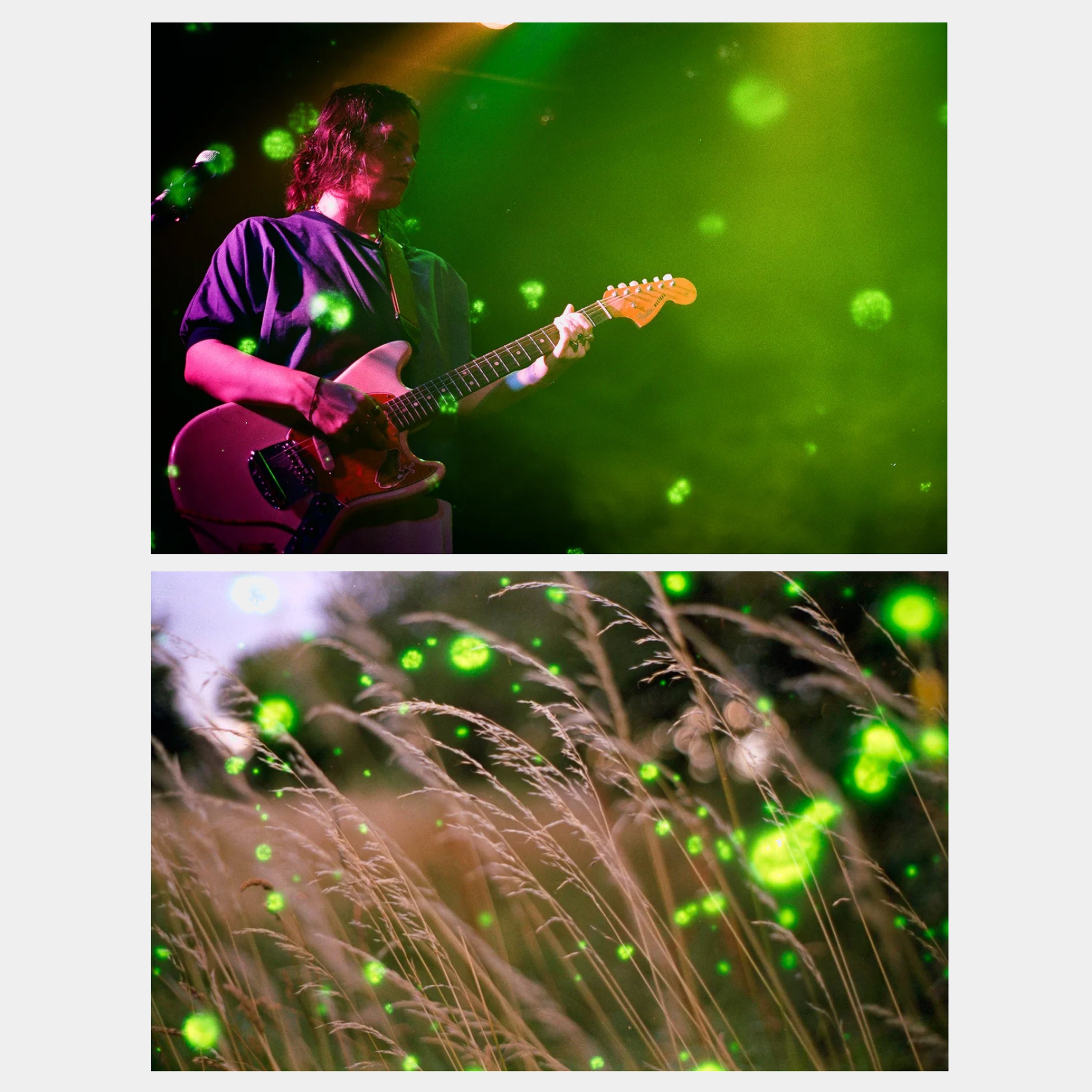 Revolog Volvox 200 35mm Film (36 Exposures)