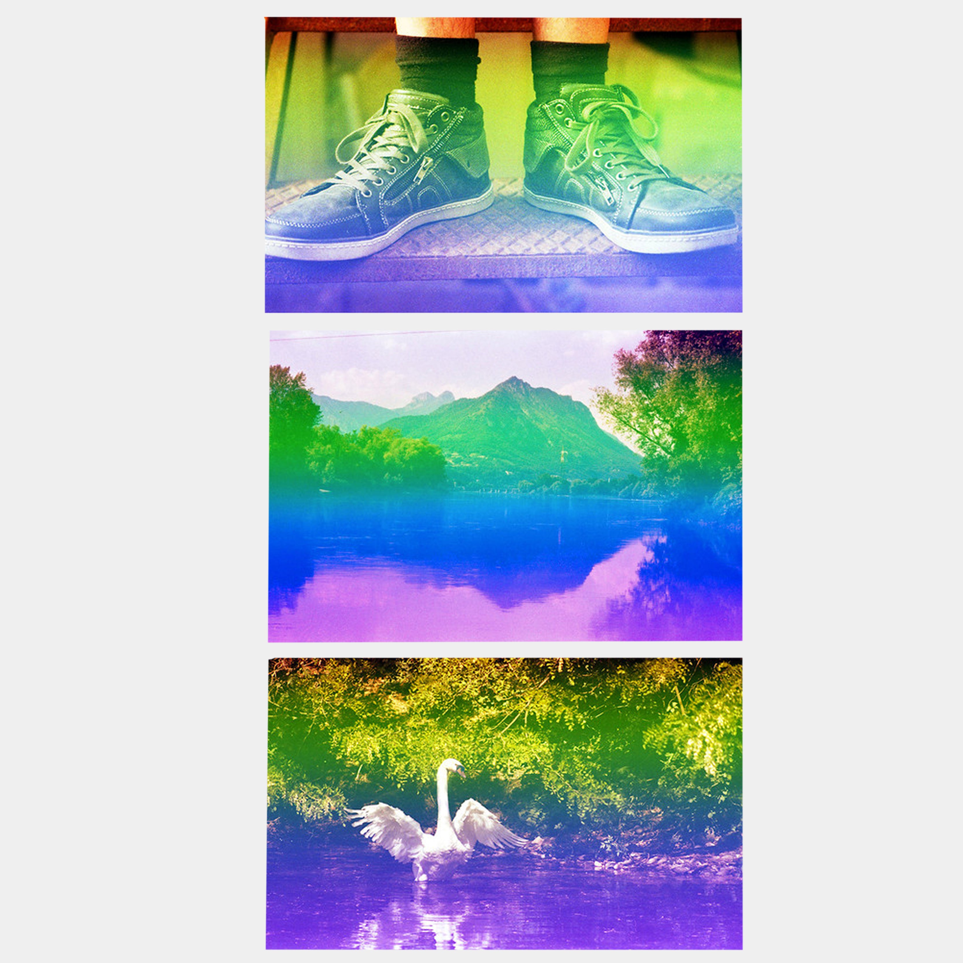 Yodica Sirio Color 35mm Film (36 Exposures)