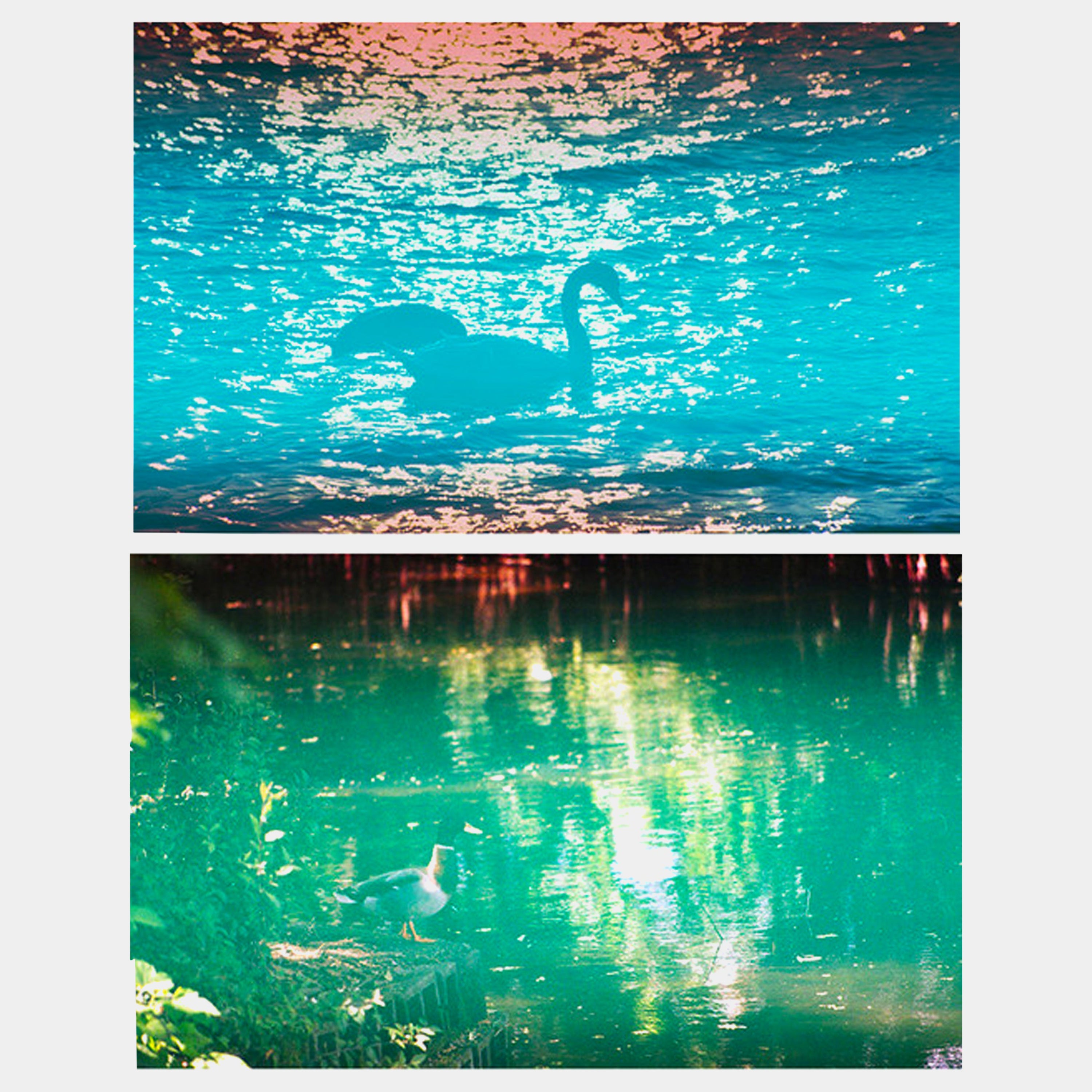 Yodica Polaris Color 35mm Film (36 Exposures)