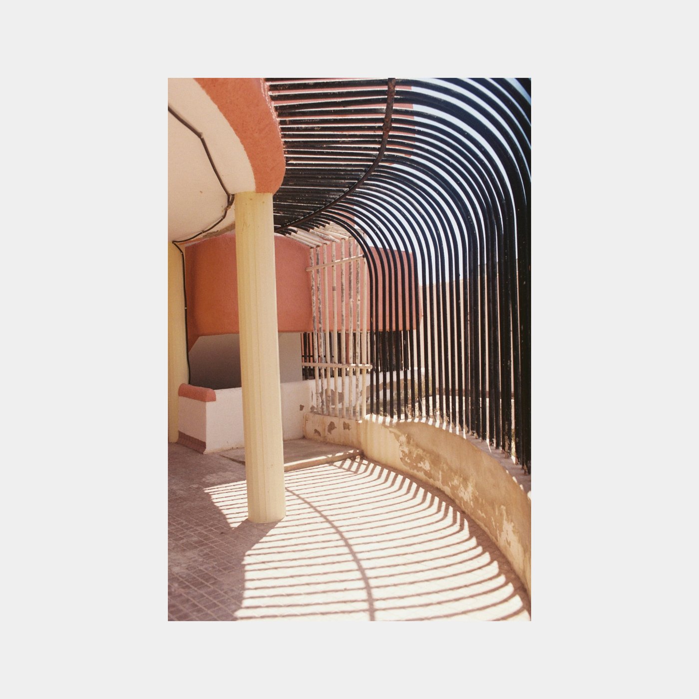 Dubblefilm Bubblegum 200 35mm Film (36 Exposures)