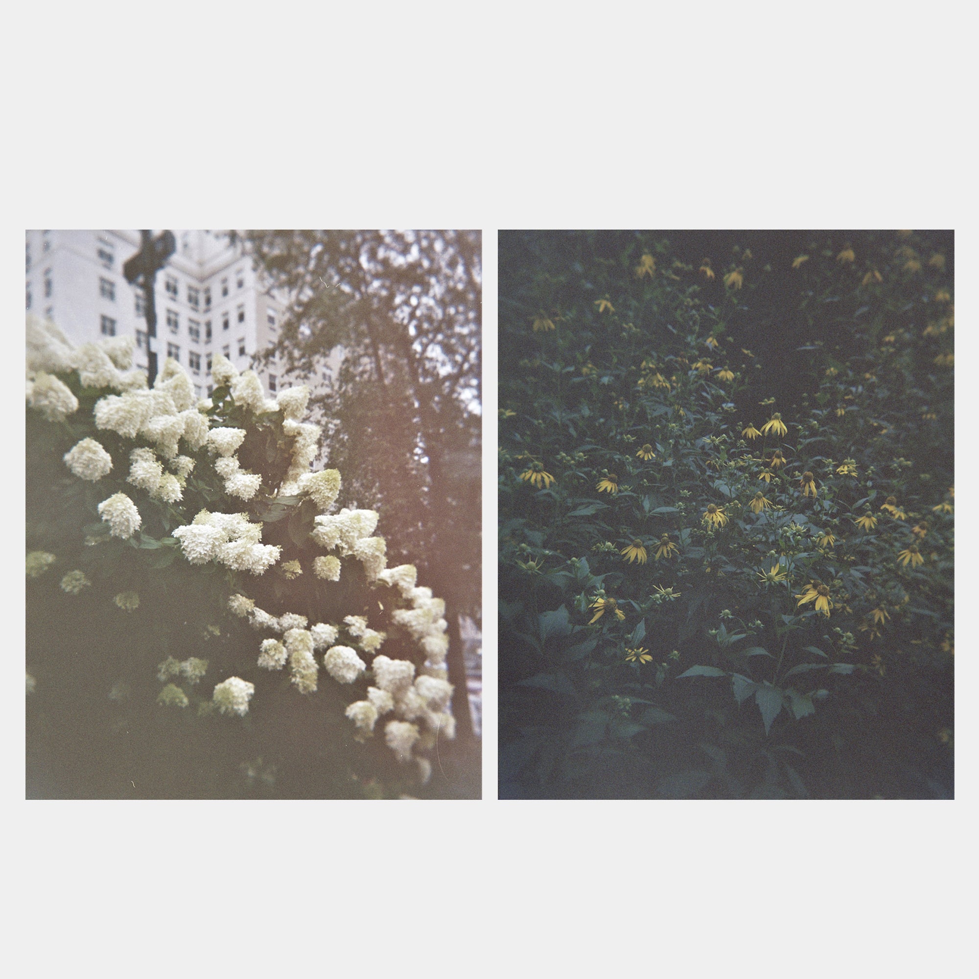 Holga 120N White 120 Film Camera