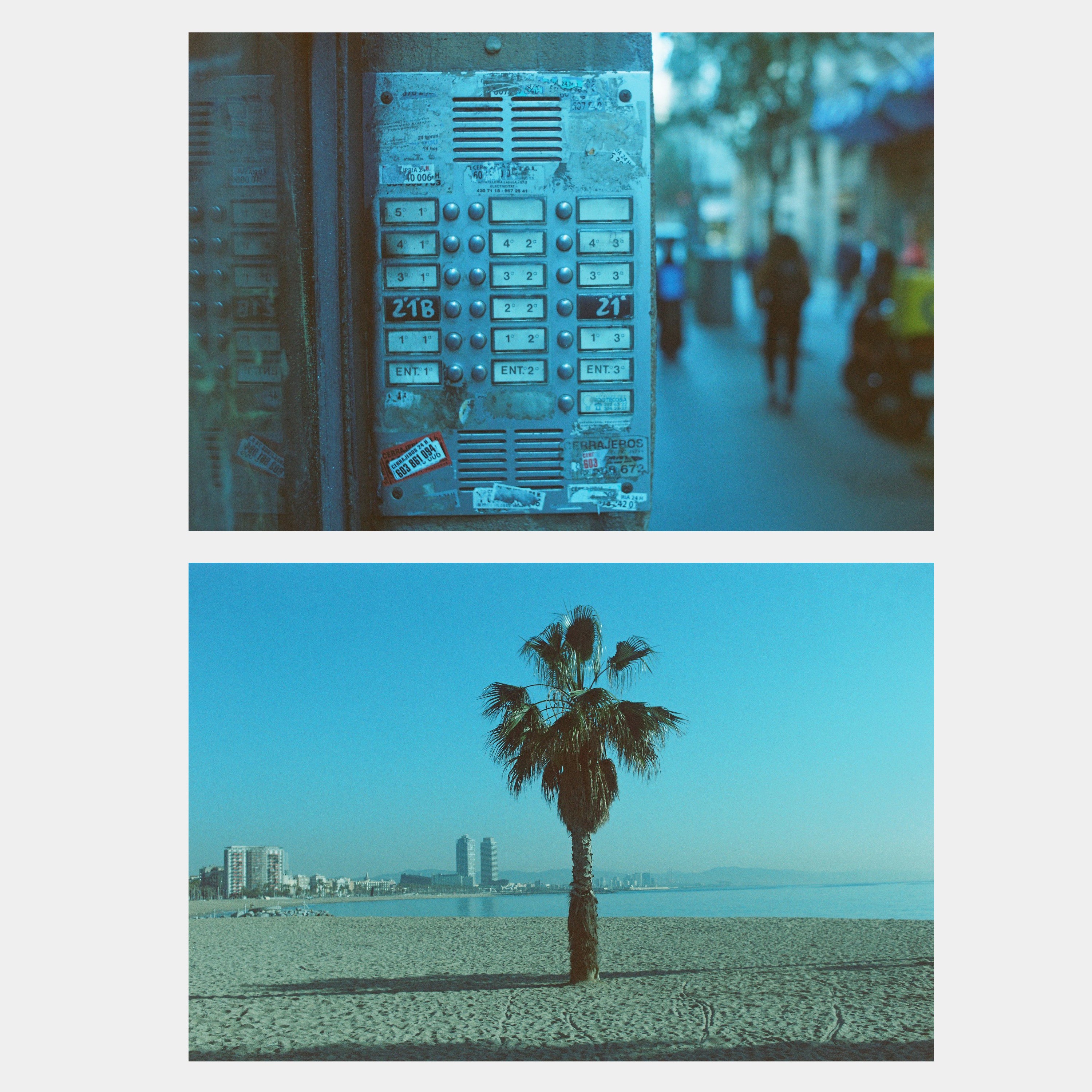 Dubblefilm Pacific 400 35mm Film (36 Exposures)