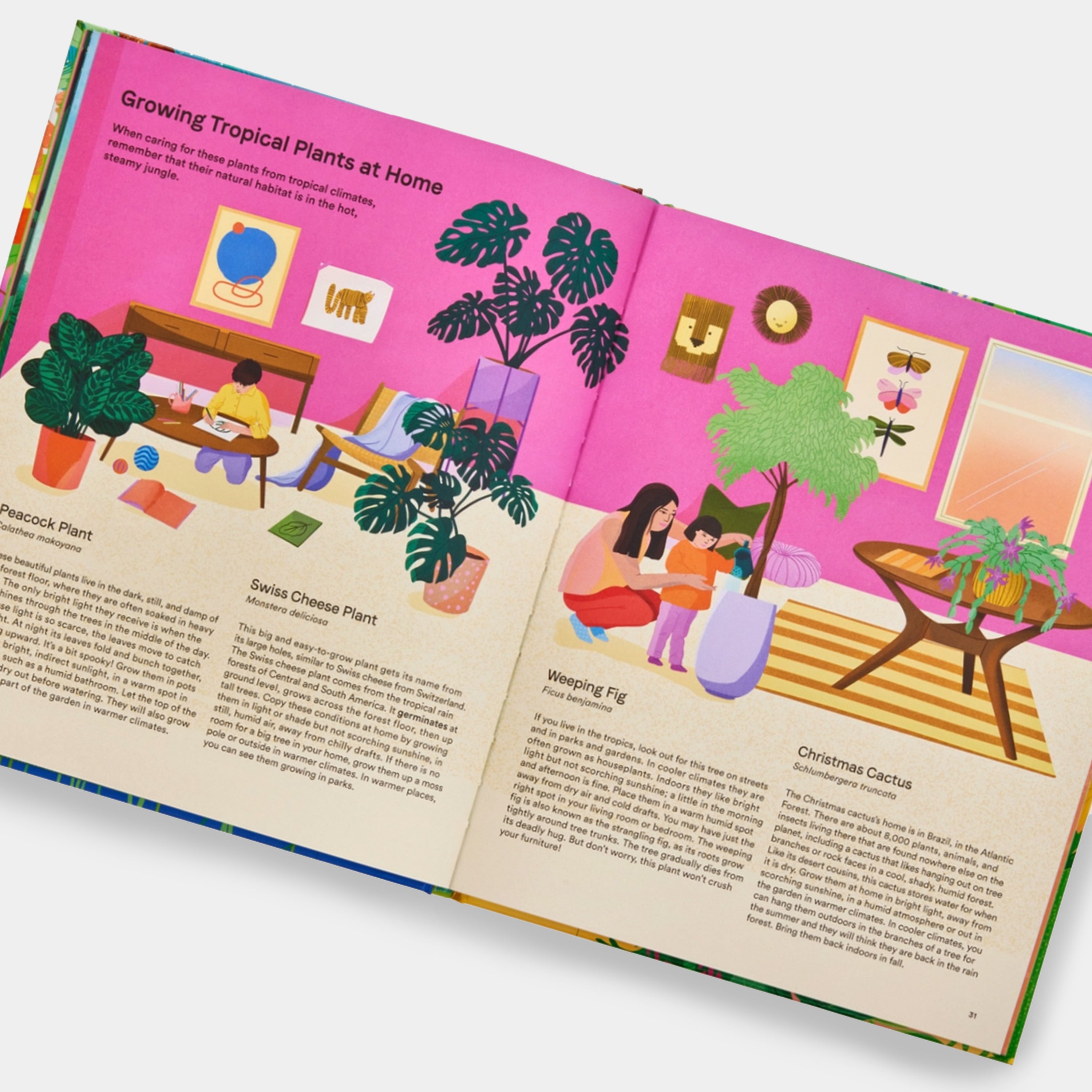 A Home for Every Plant: Wonders of the Botanical World Phaidon Book