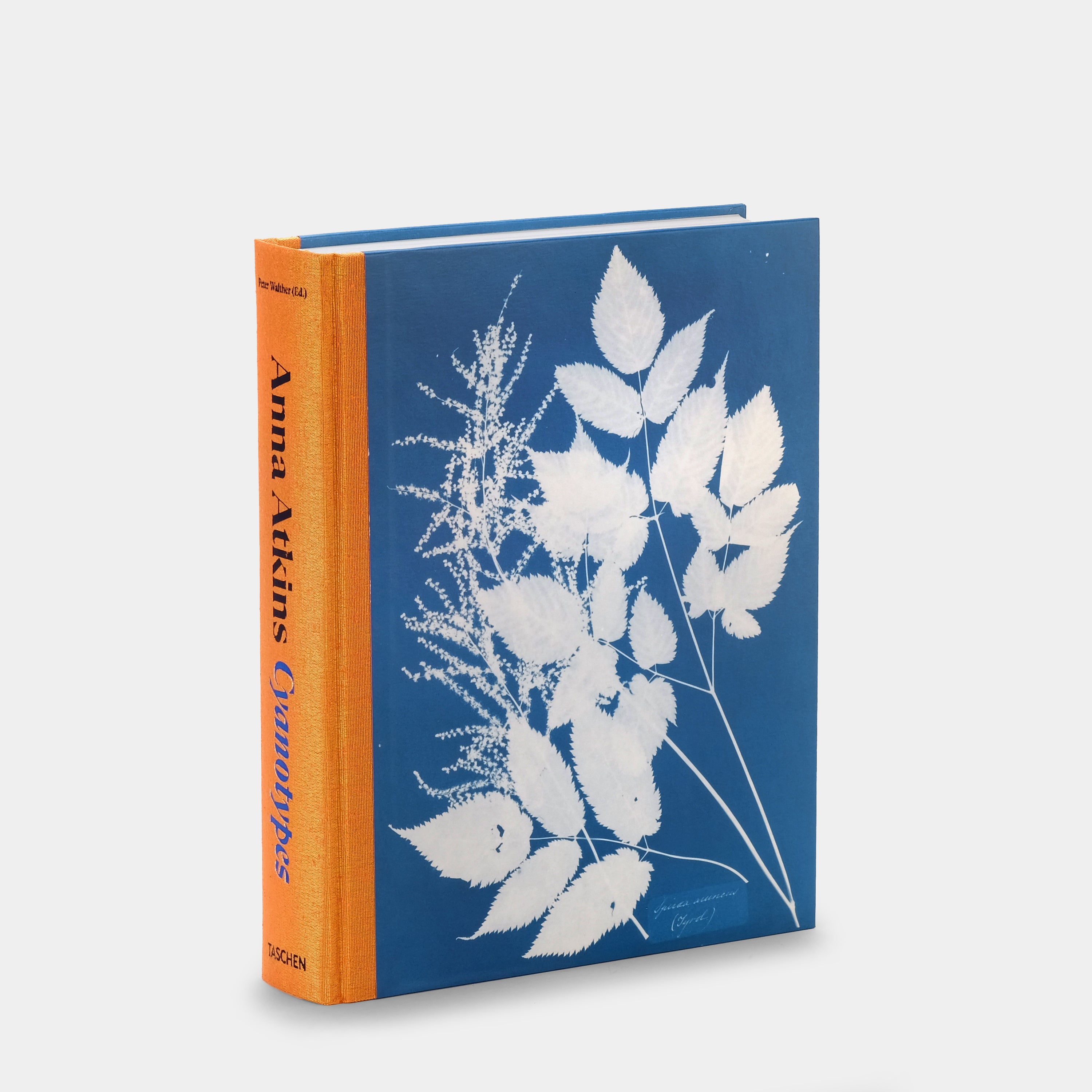 Anna Atkins: Cyanotypes Taschen Book