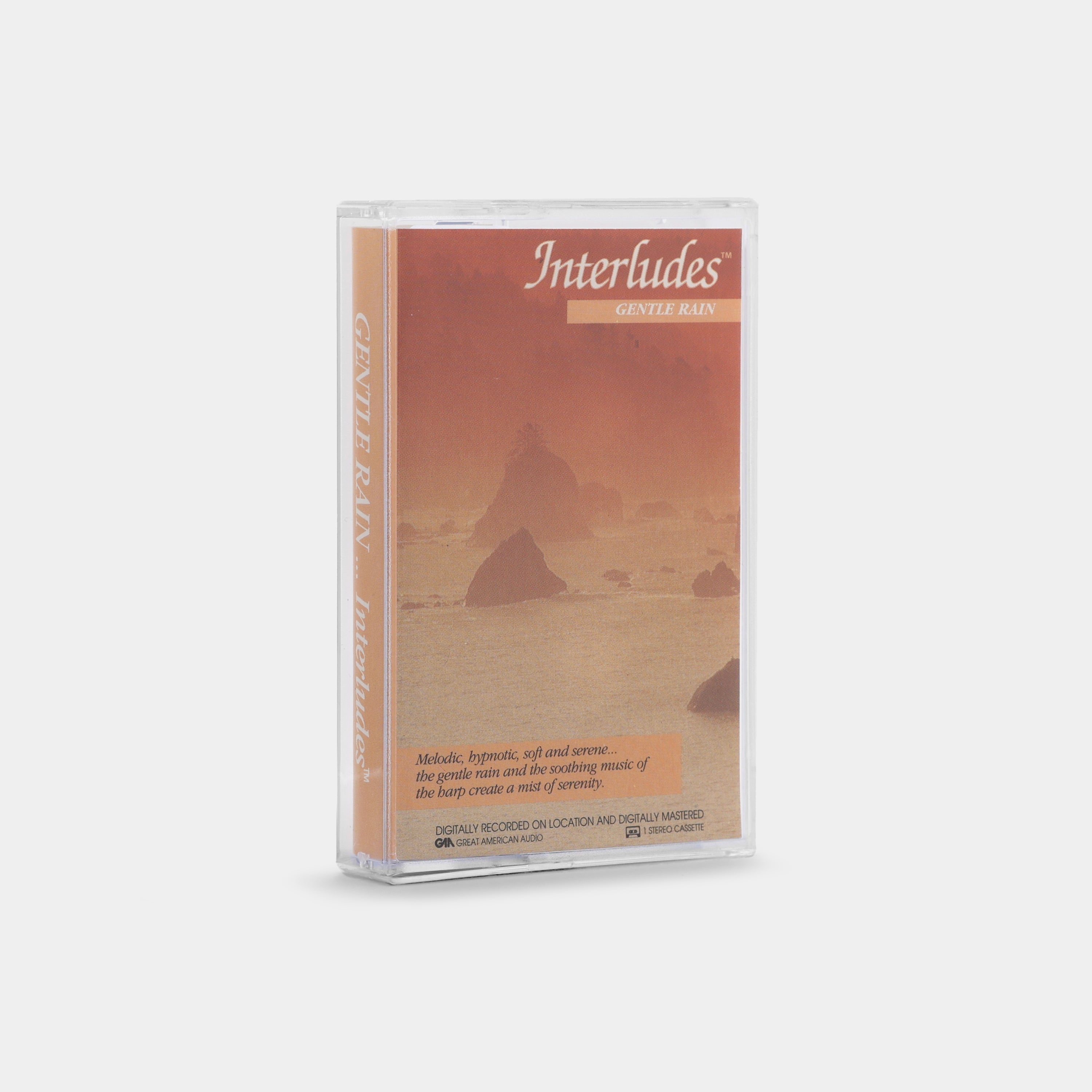 Interludes: Steven Gruskin - Gentle Rain Cassette Tape