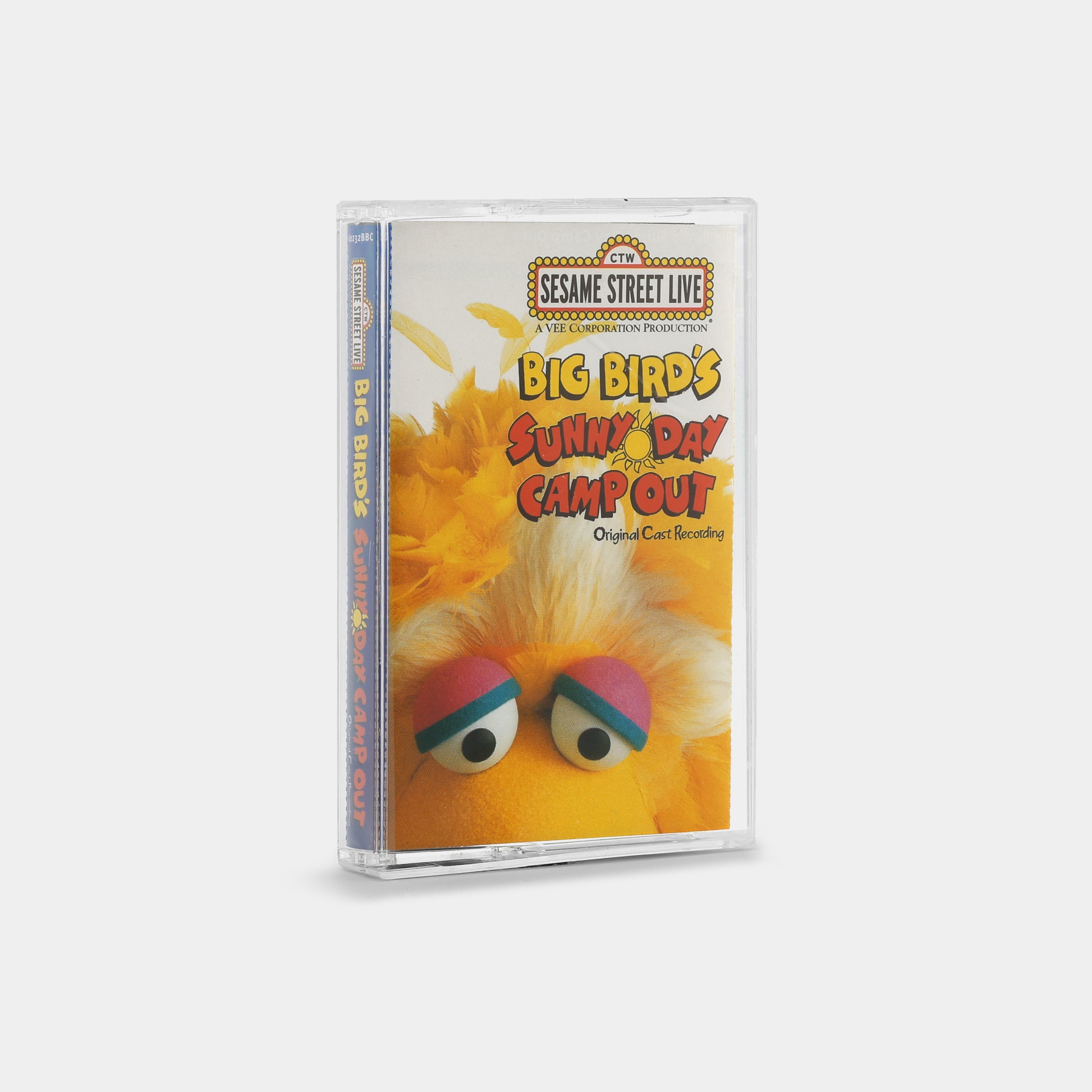 Sesame Street - Big Bird's Sunny Day Camp Out Cassette Tape