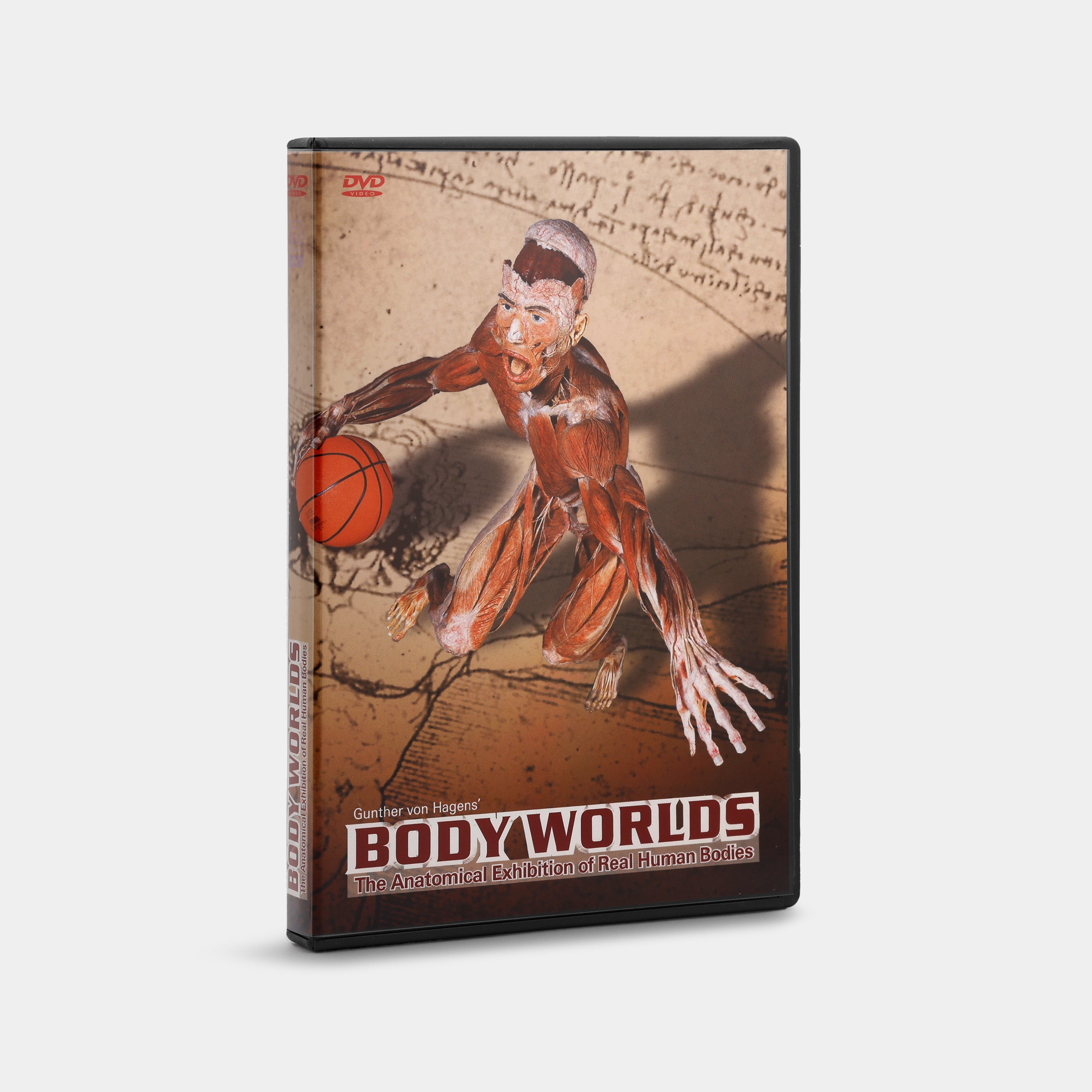 Body Worlds: The Anatomical Exhibition of Real Human Bodies DVD