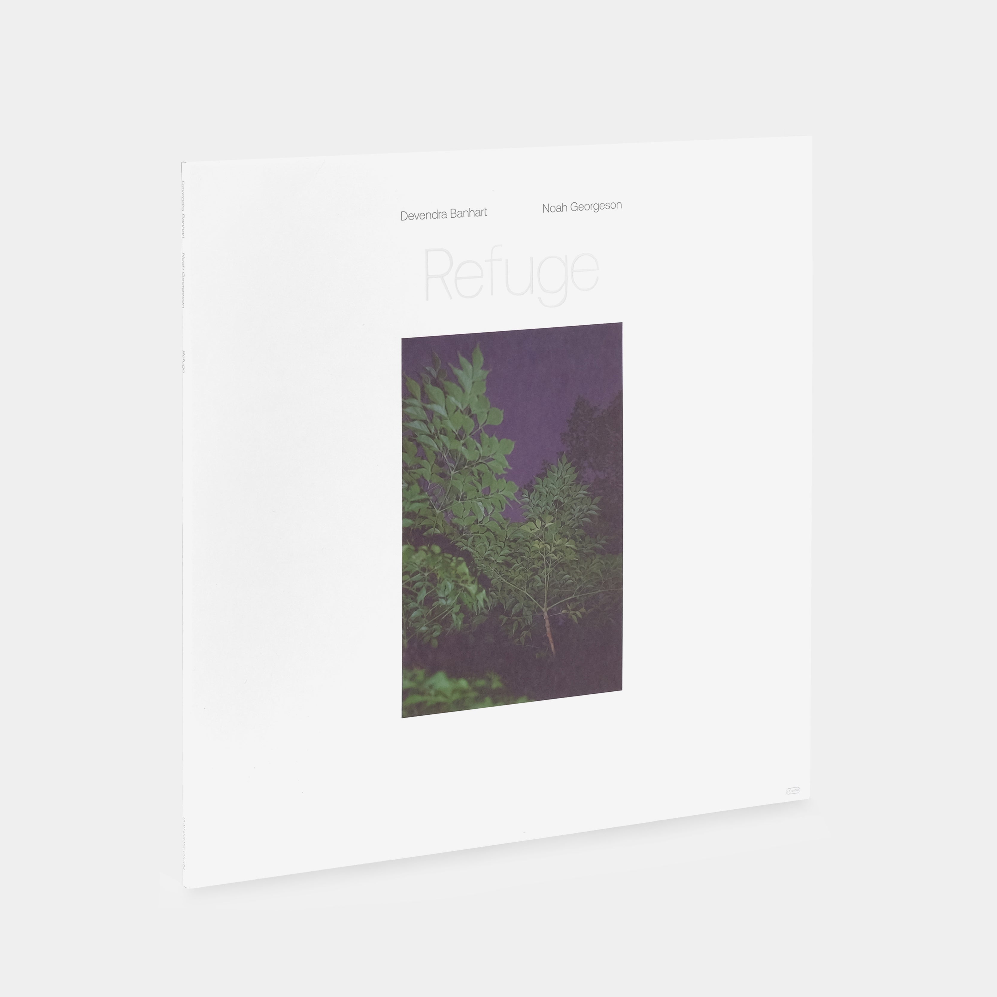 Devendra Banhart & Noah Georgeson - Refuge 2xLP Blue Seagrass Wave Translucent Vinyl Record