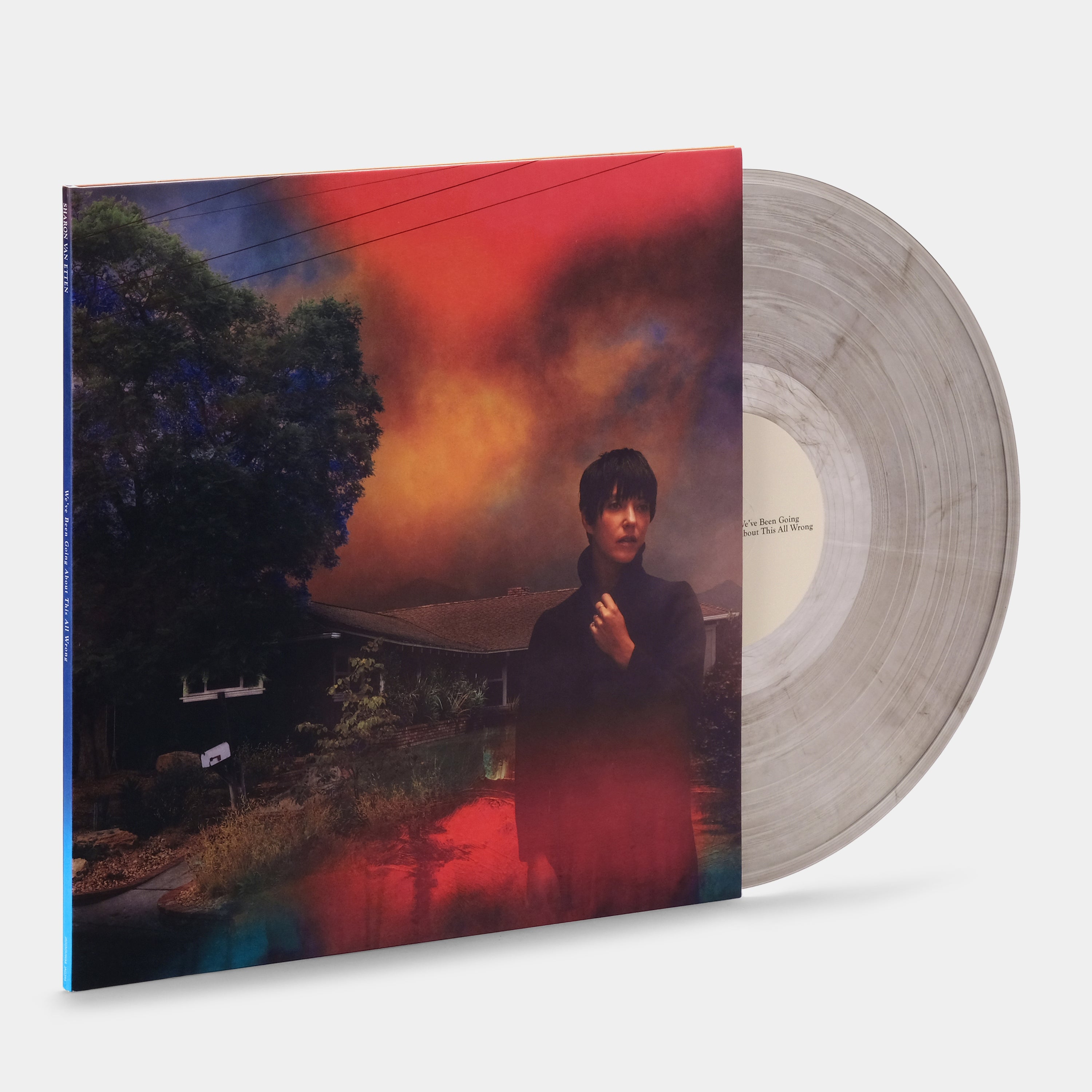Sharon Van Etten - We've Been Going About This All Wrong LP Marble Smoke Vinyl Record