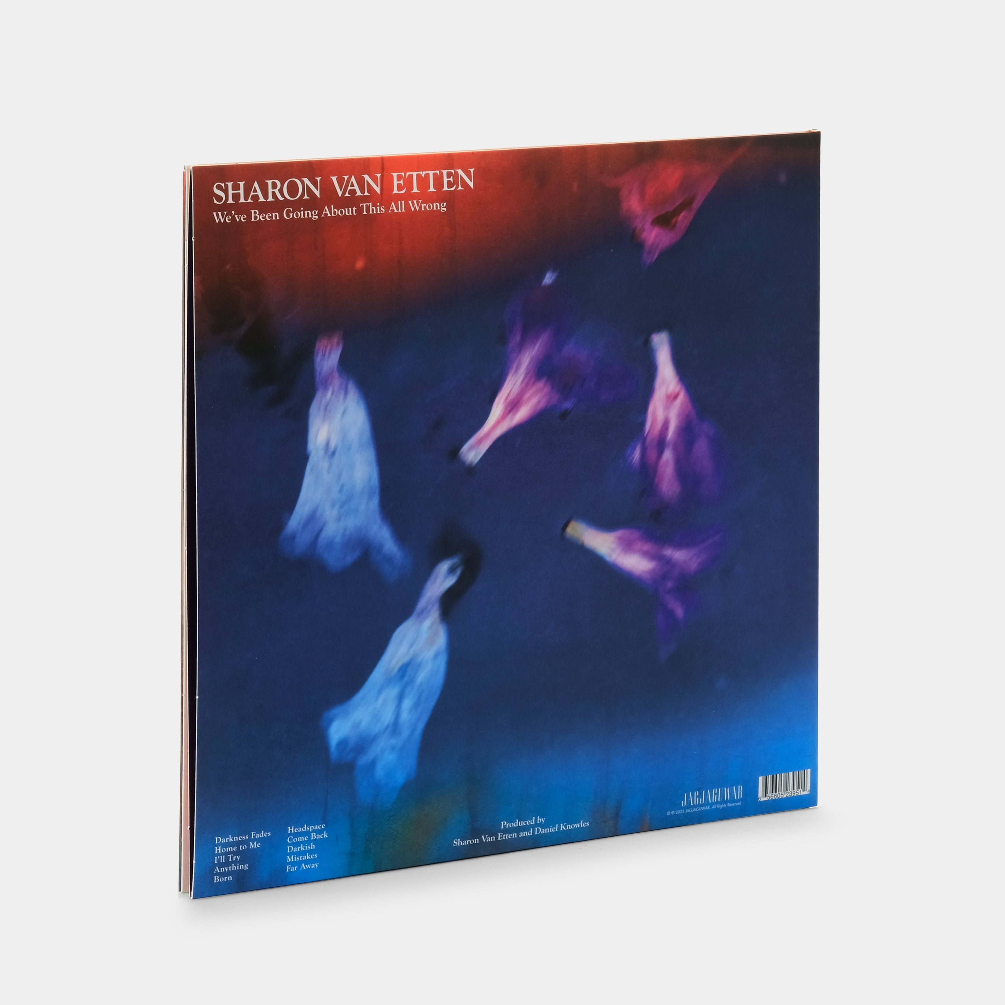 Sharon Van Etten - We've Been Going About This All Wrong LP Marble Smoke Vinyl Record