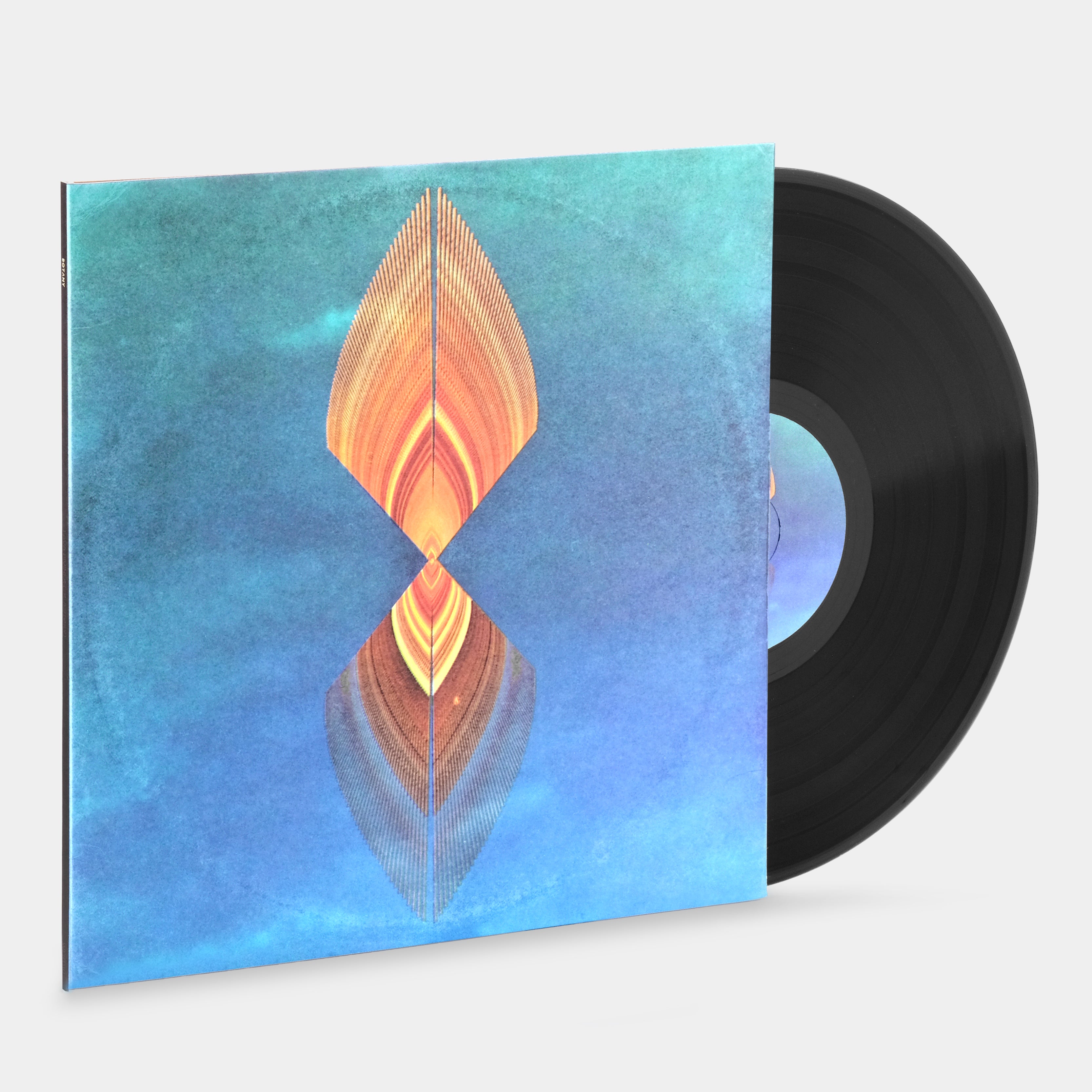 Botany - Lava Diviner (Truestory) LP Vinyl Record