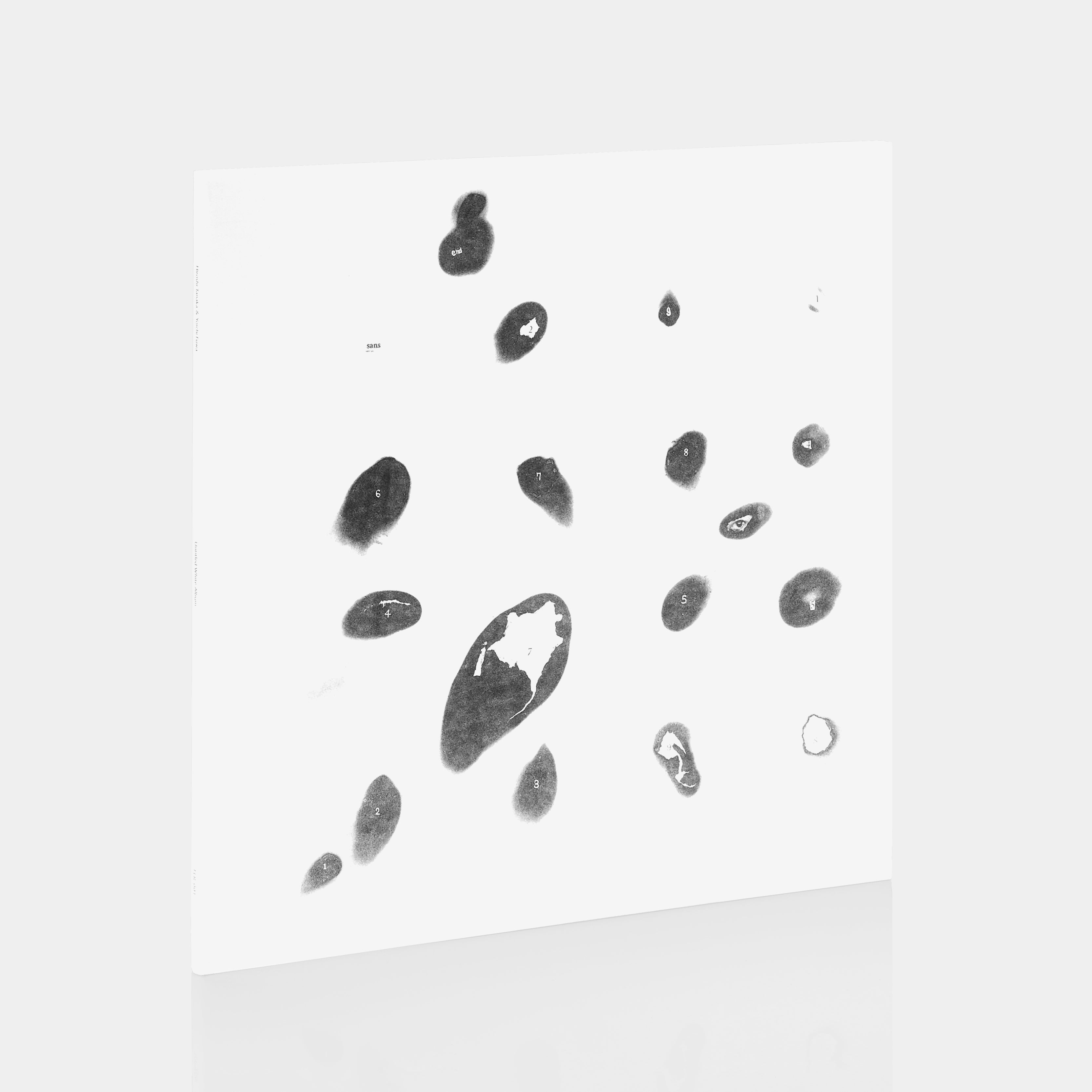 Hiroshi Tanaka & Yoichi Fuwa - Untitled White Album 2xLP Vinyl Record