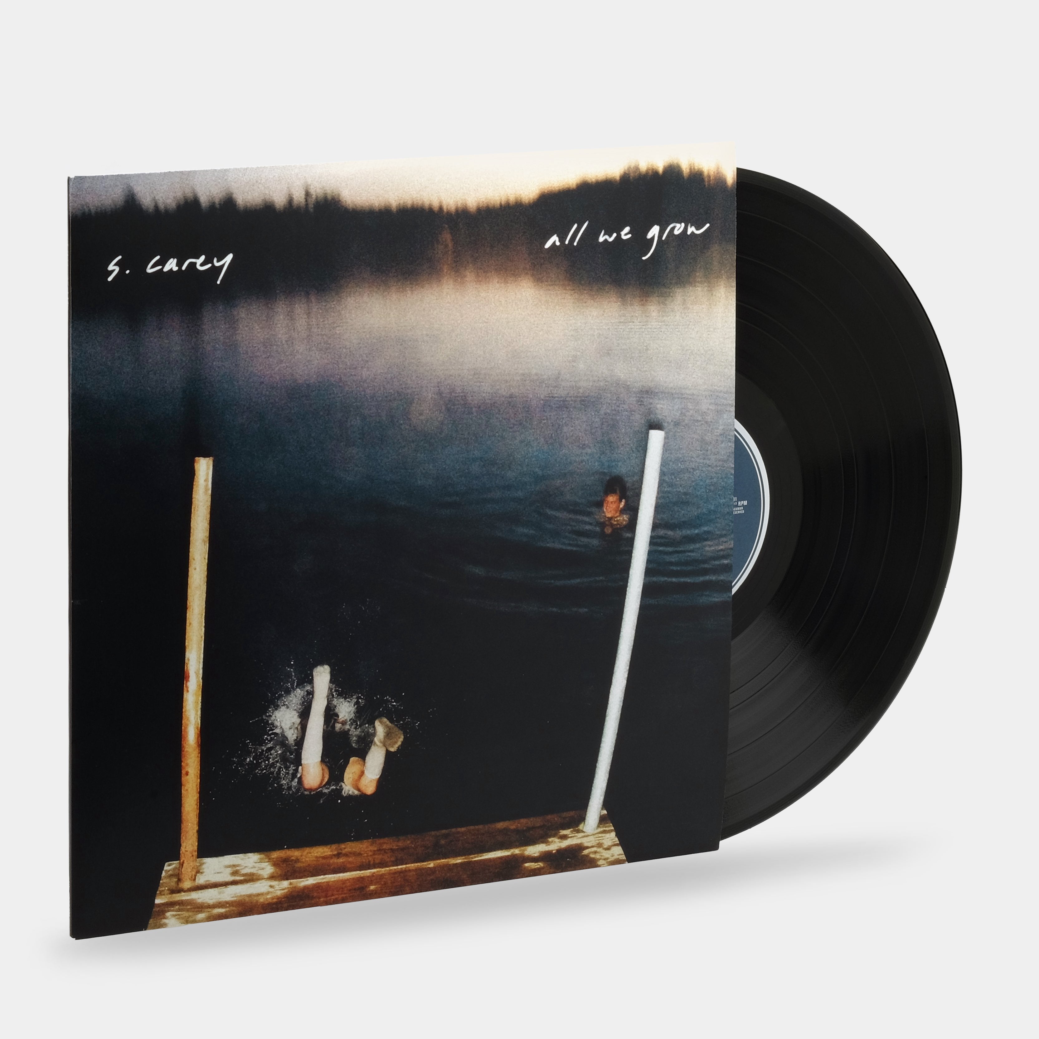 S. Carey - All We Grow LP Vinyl Record
