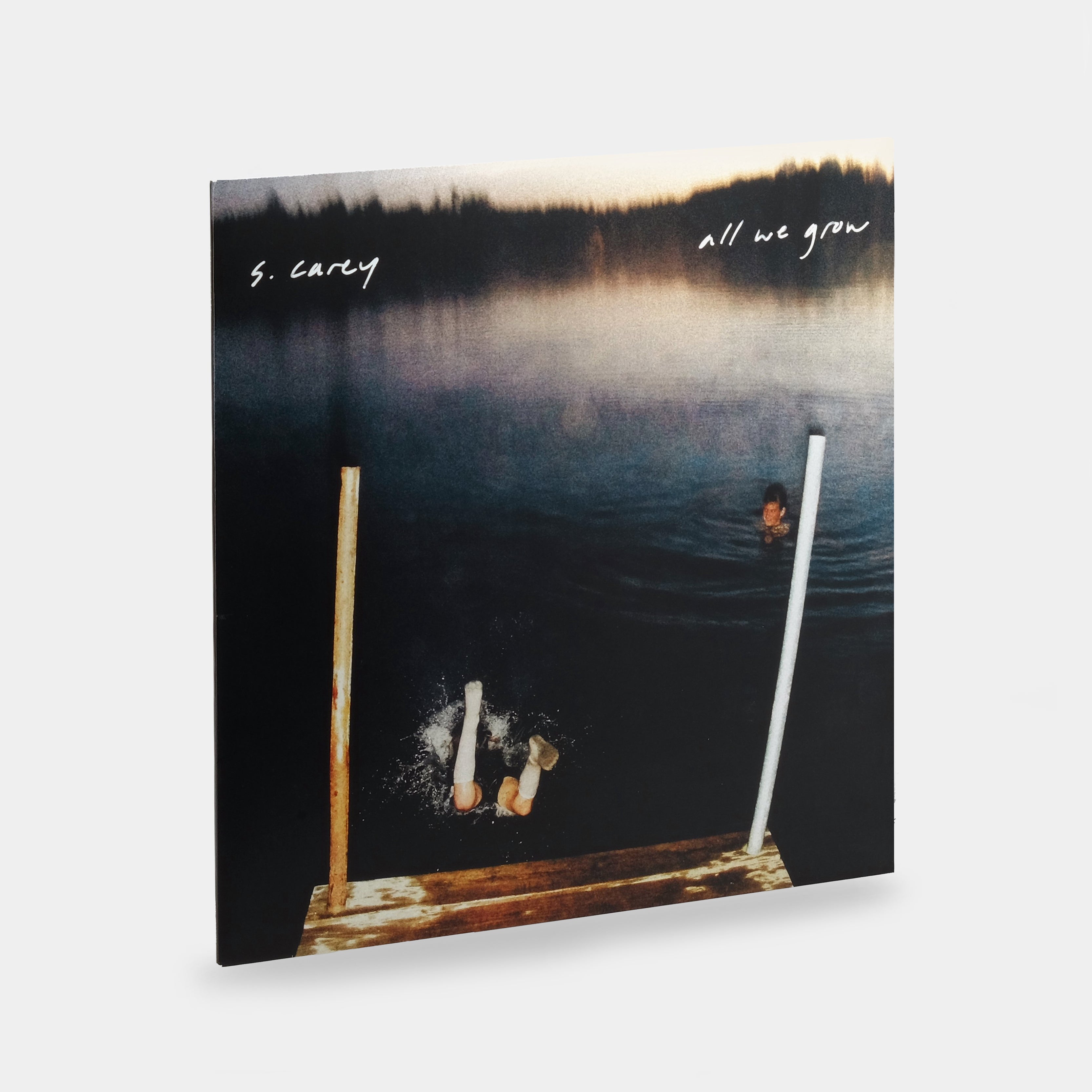 S. Carey - All We Grow LP Vinyl Record