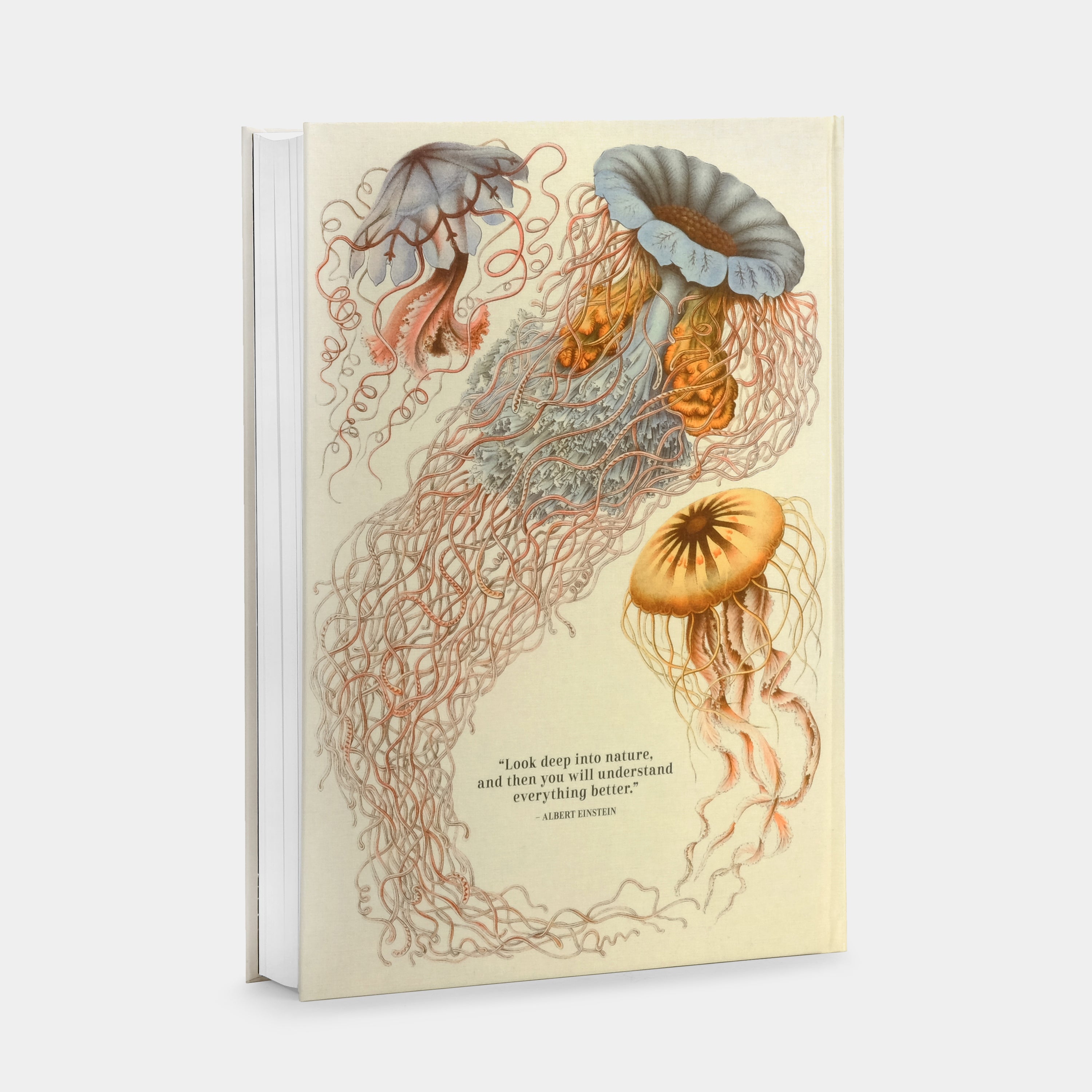 The Art and Science of Ernst Haeckel XXL Taschen Book
